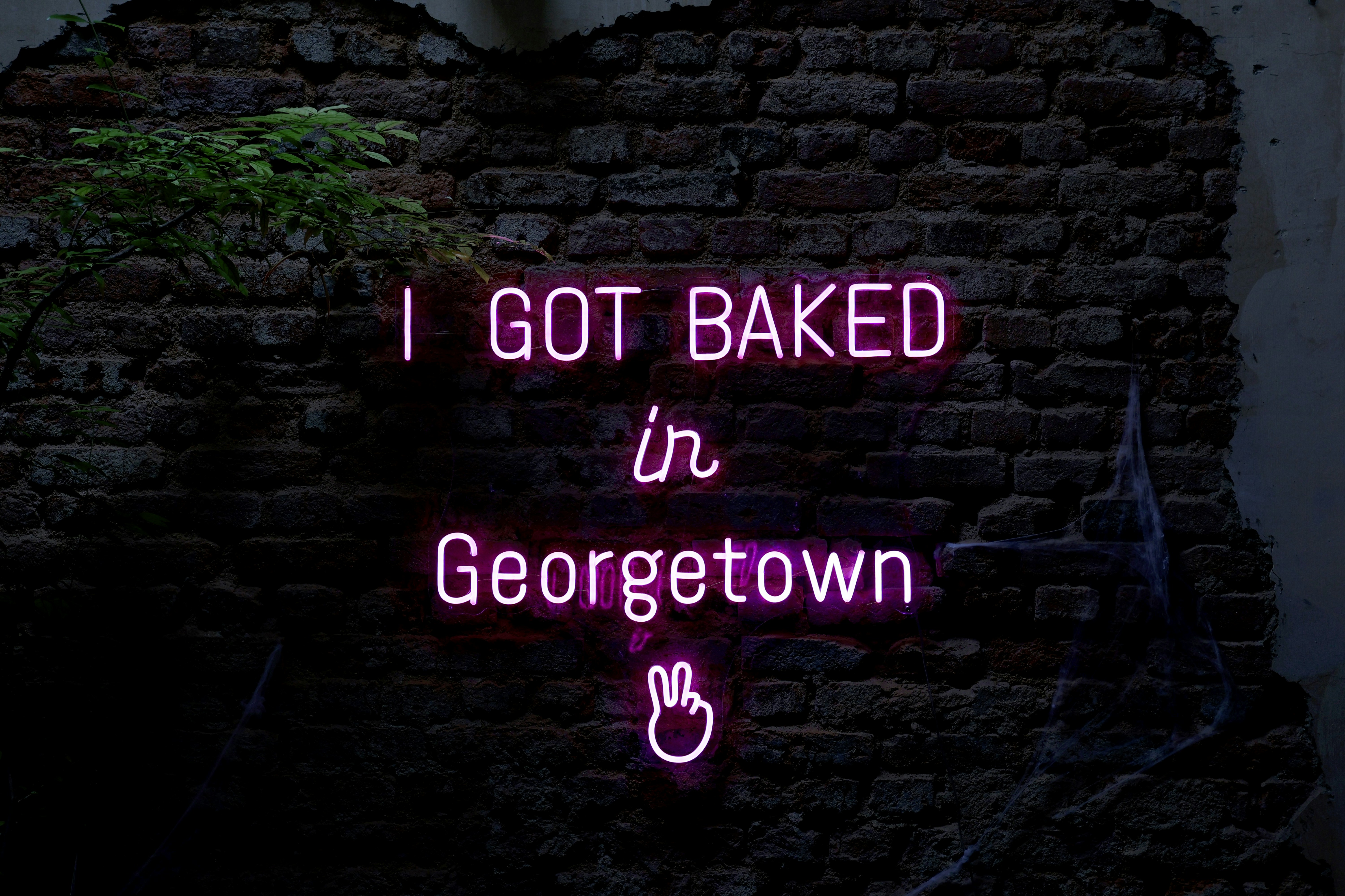 Fall into Savings: Seasonal Products to Buy During Wheat Price Rallies