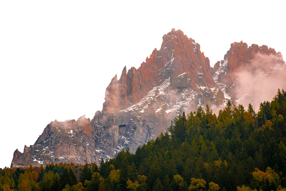 a mountain with trees below