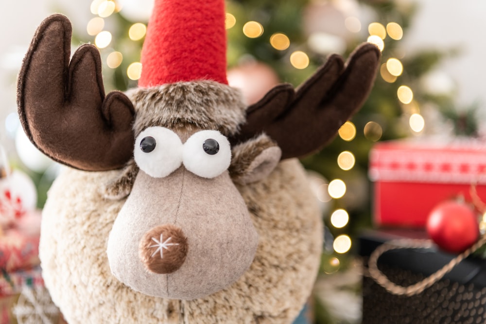 a stuffed animal with a red hat