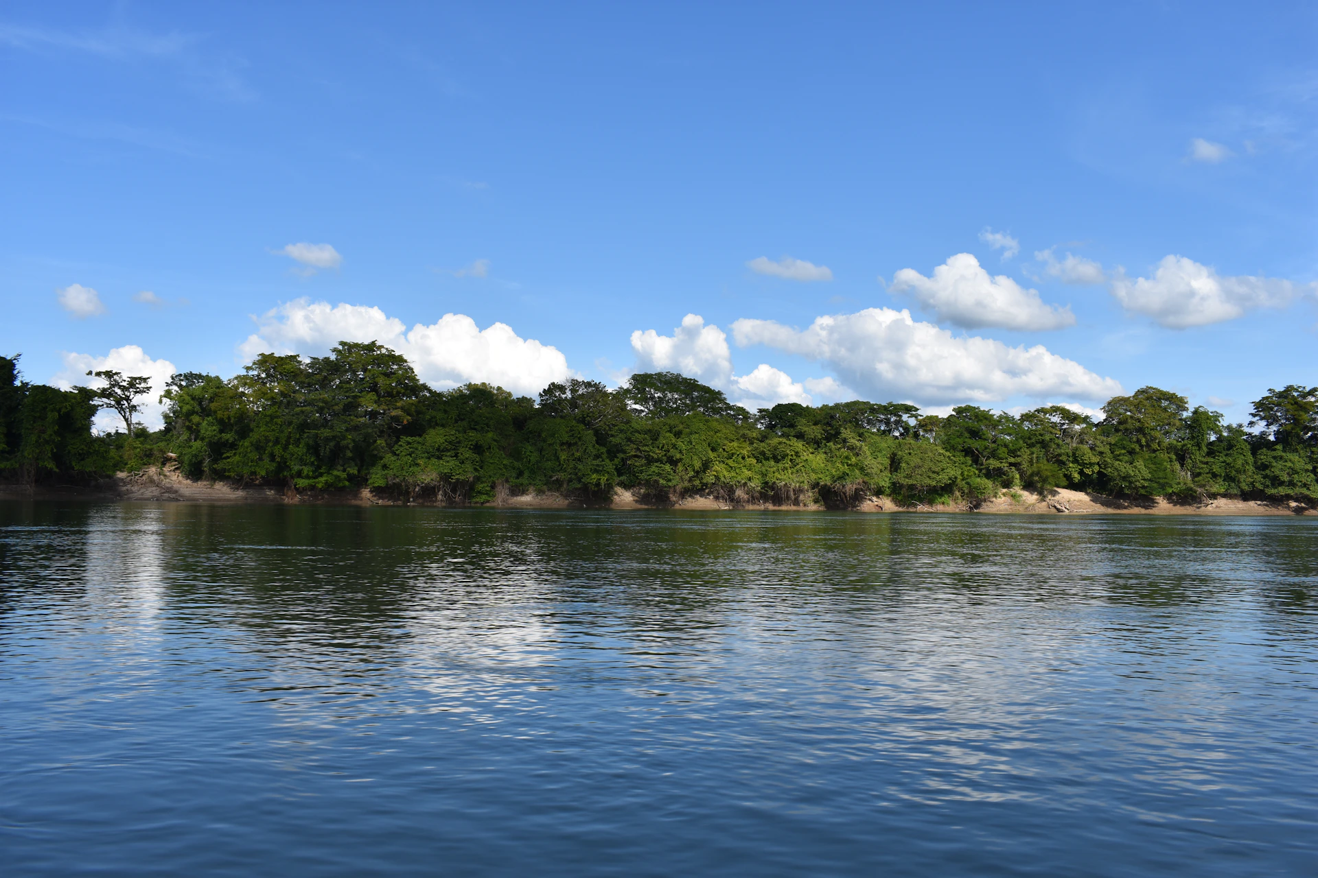 a body of water with trees around it