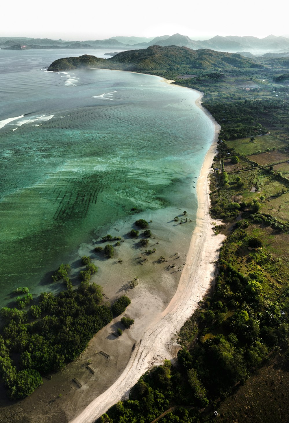 a beach with trees and water