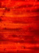 Detail of textured brushwork blending dark purples and fiery oranges.