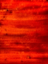 Close-up of textured brushstrokes blending warm sunset colors on canvas.