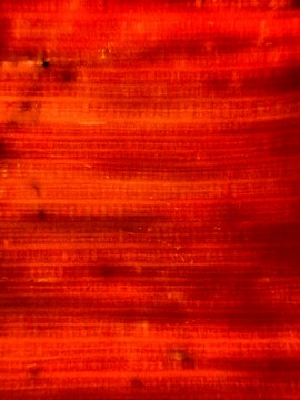 Detail of textured brushwork blending dark purples and fiery oranges.
