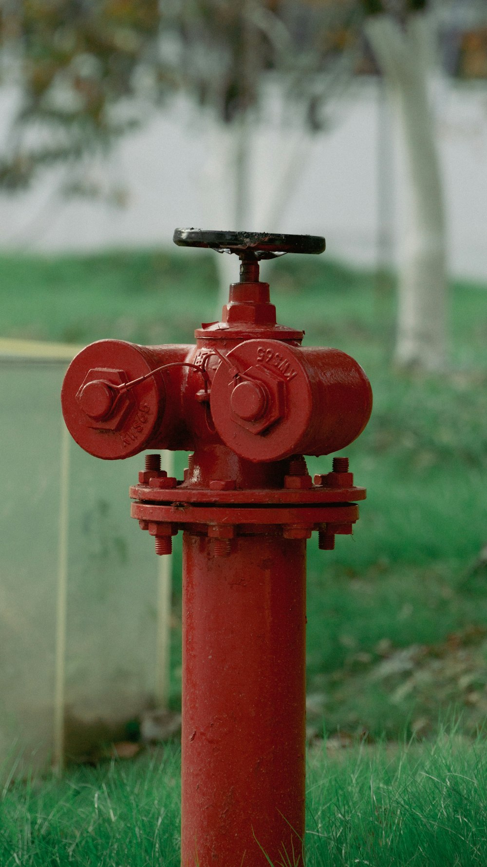 a red fire hydrant in the grass