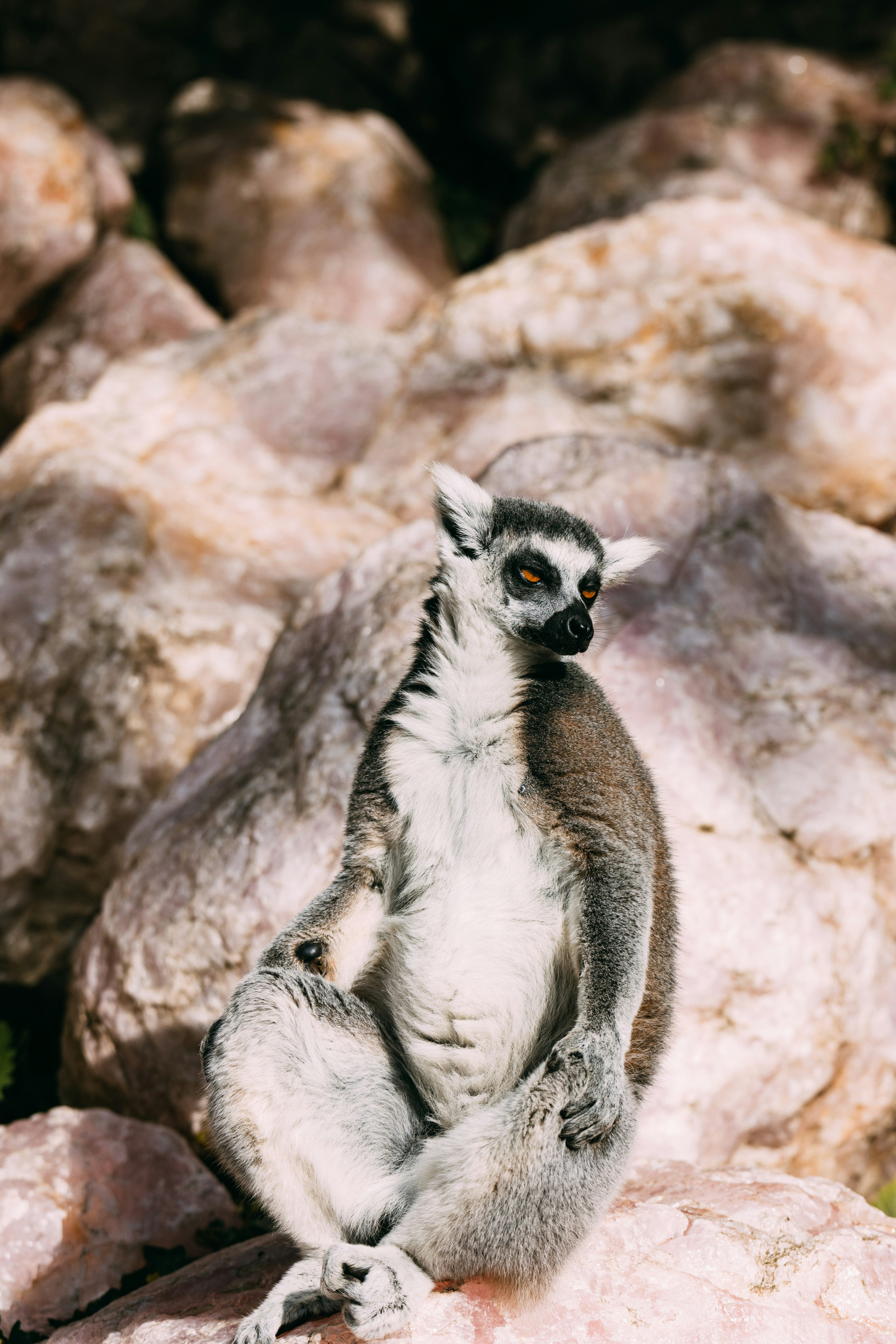 Photo by brechtdenil