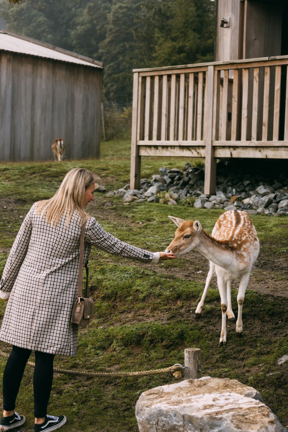 a woman feeding a deer
