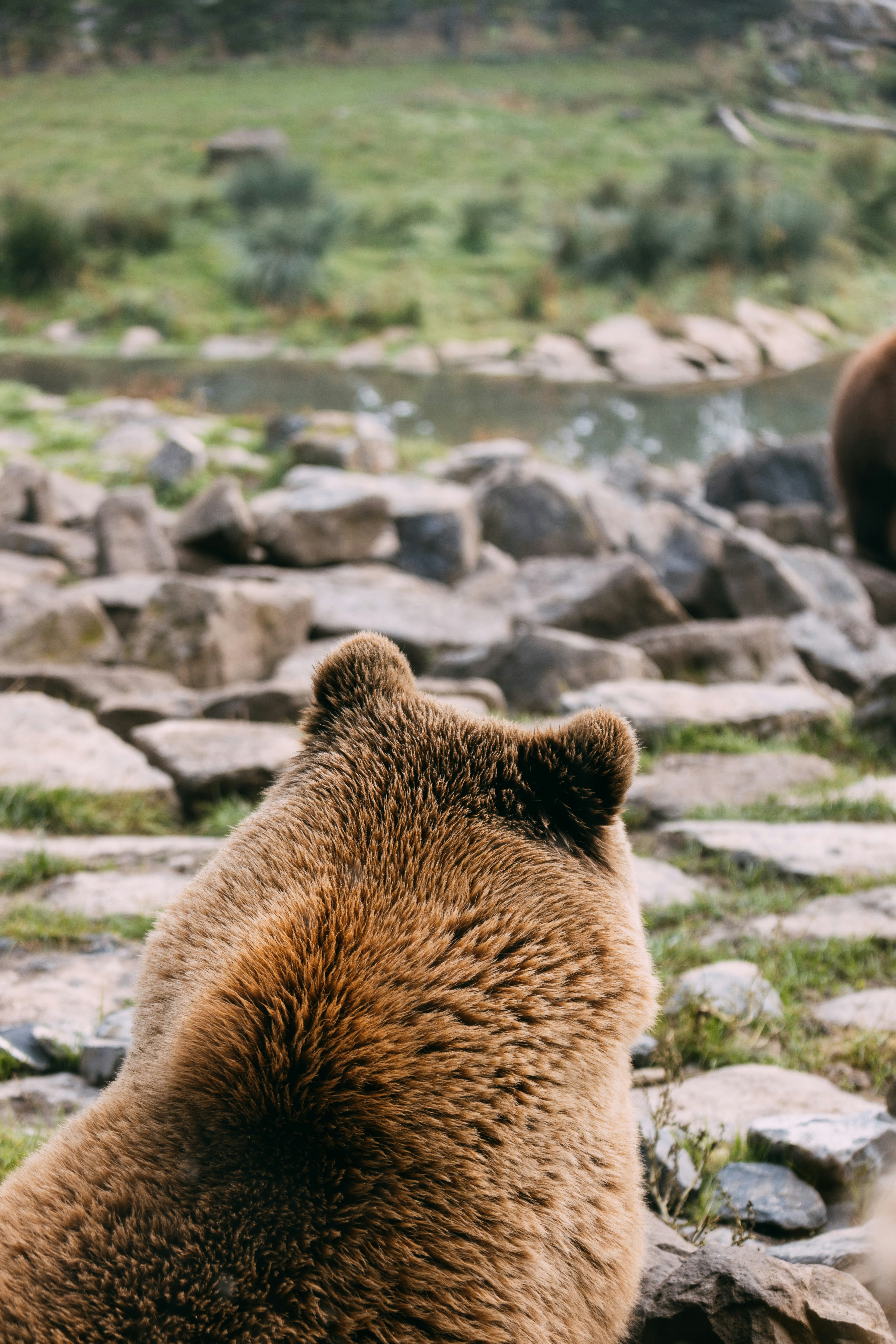 Photo by brechtdenil