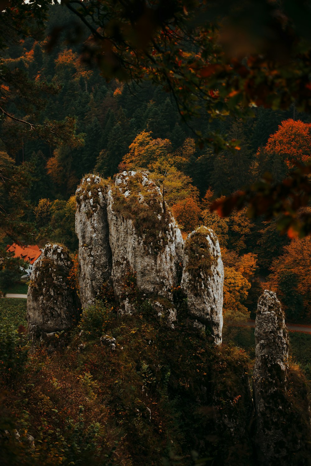 a large rock formation surrounded by trees