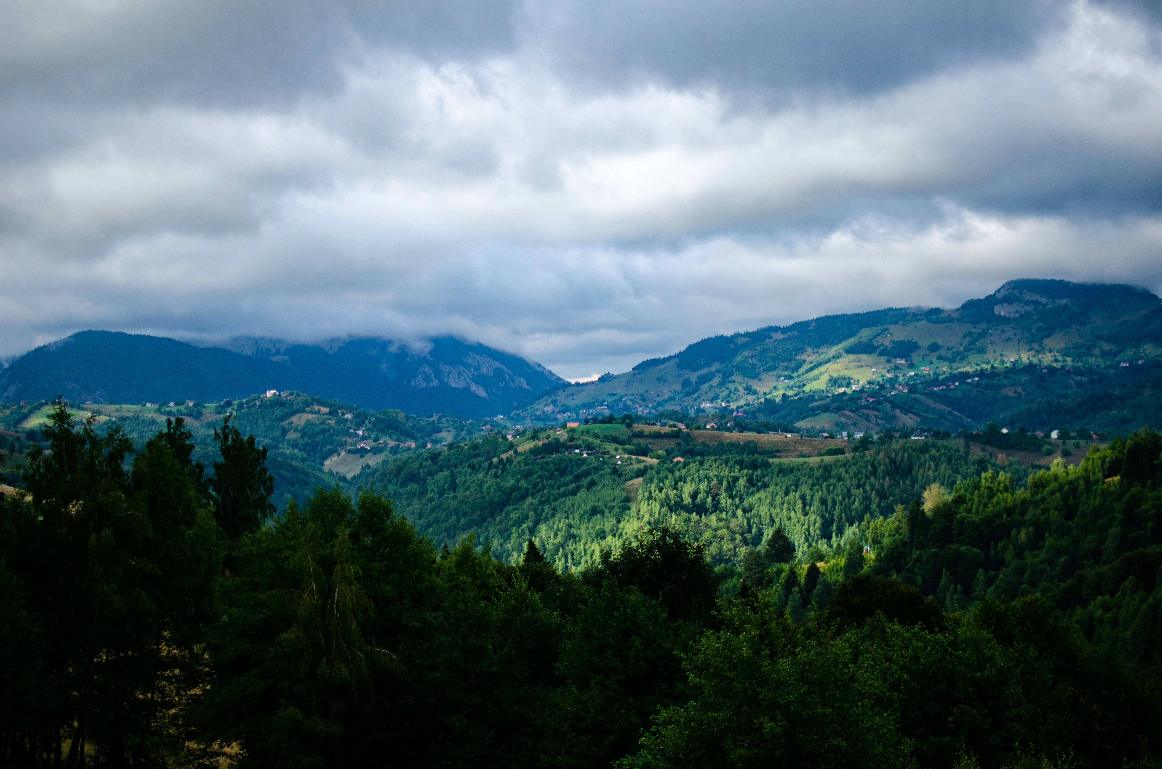 Photo by razvanporumb