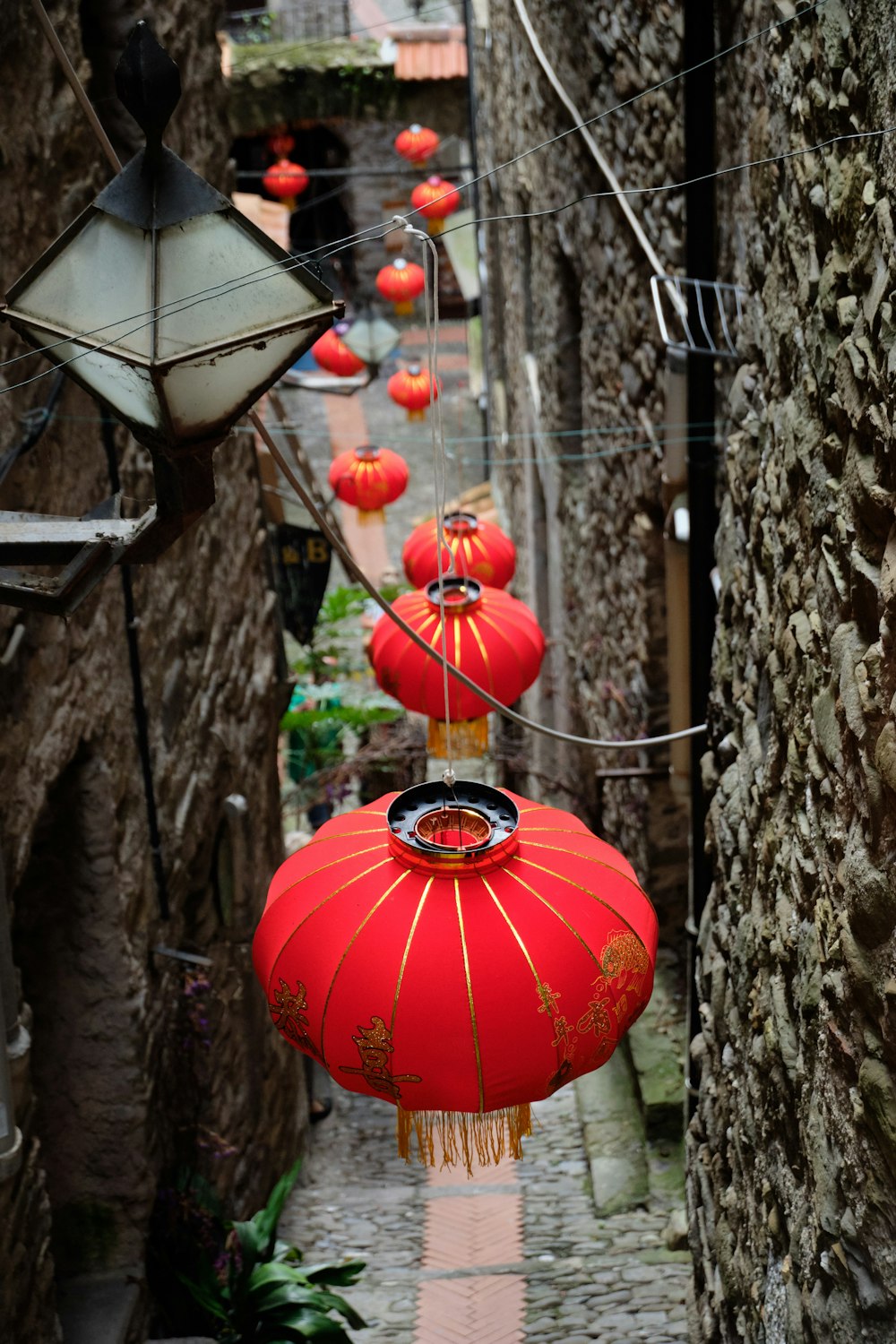 a group of red lanterns from a tree