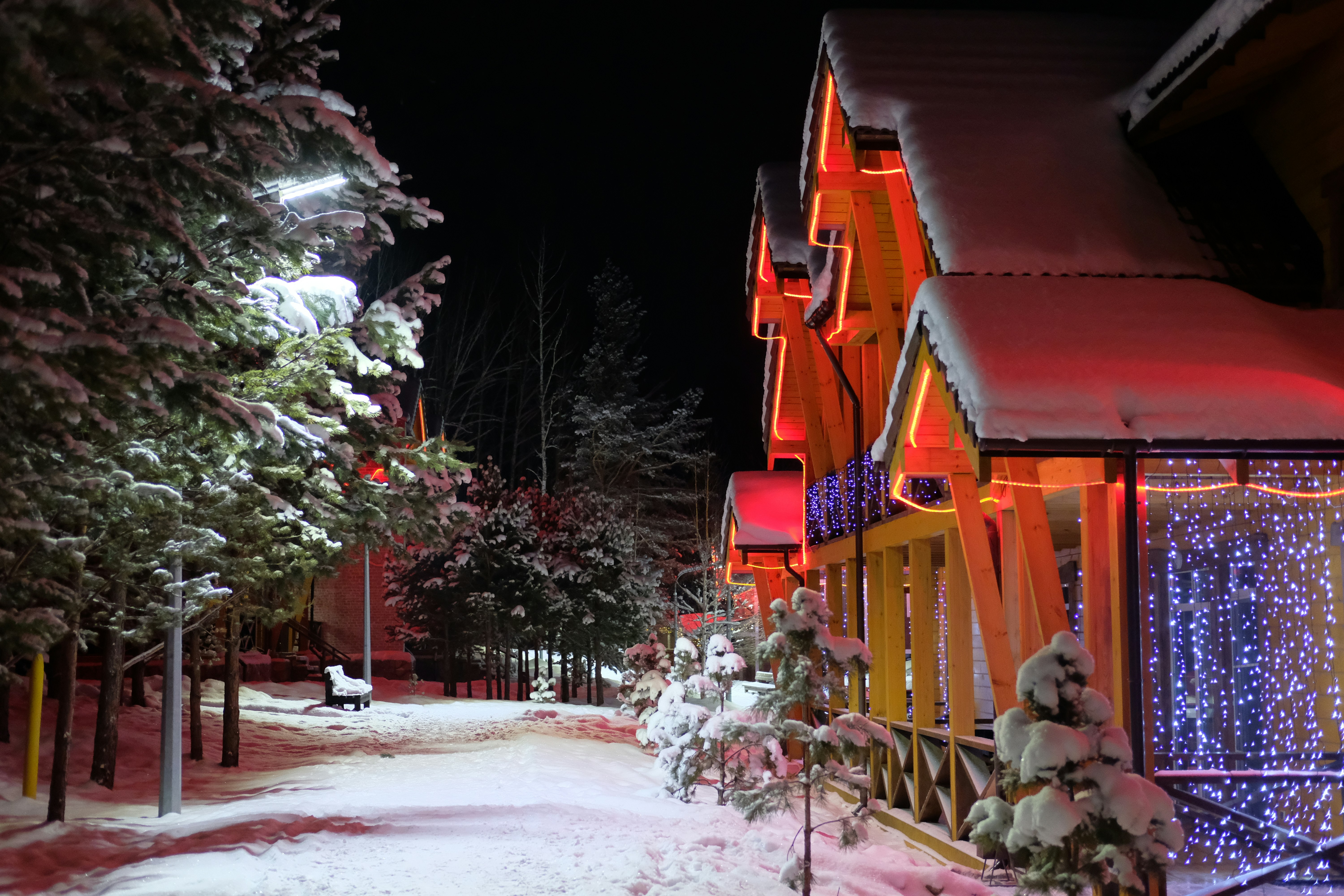 a building with christmas lights