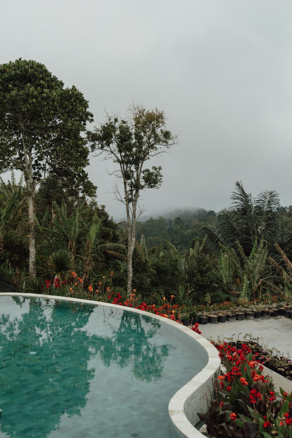 a pool with trees around it