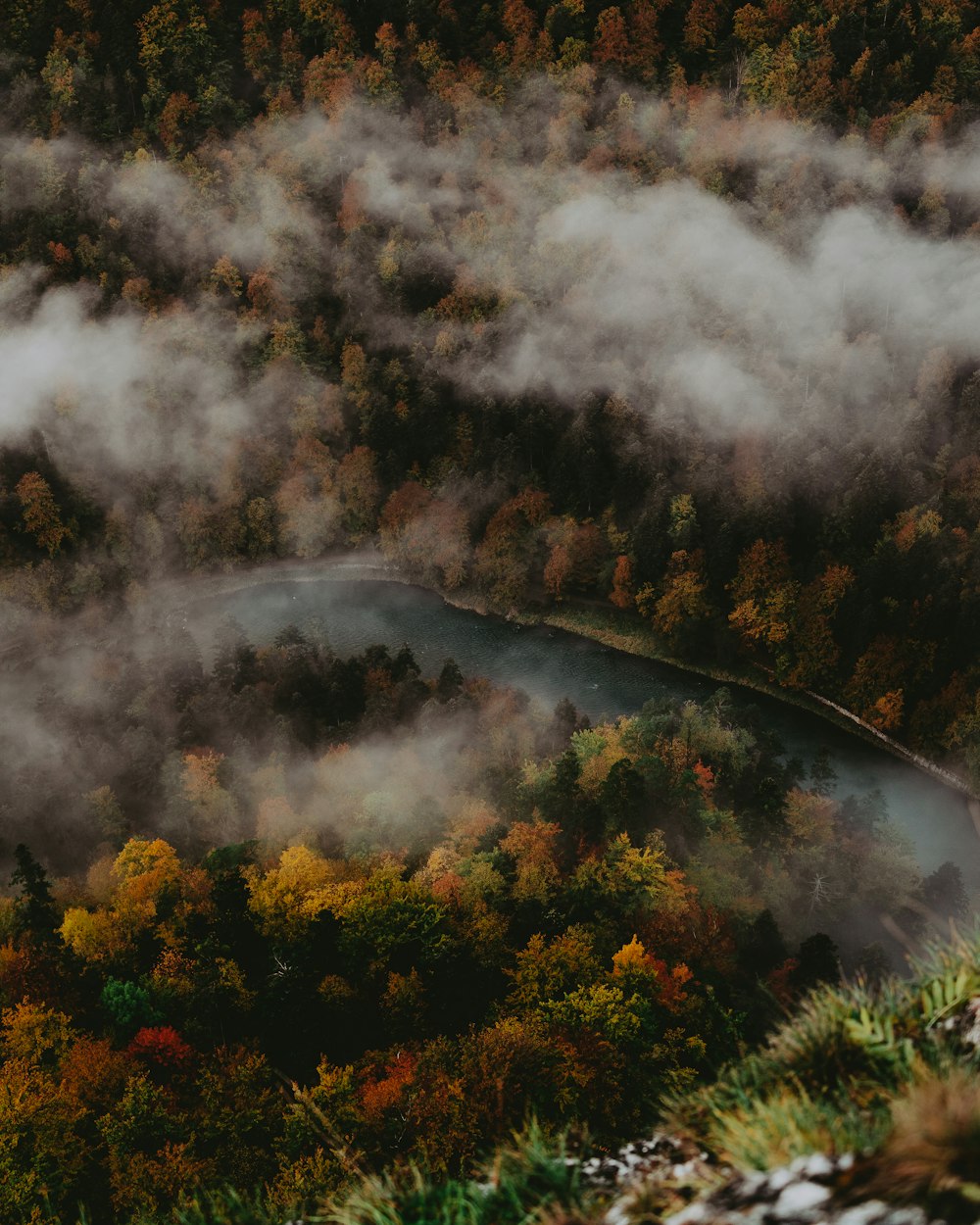 a river with trees around it