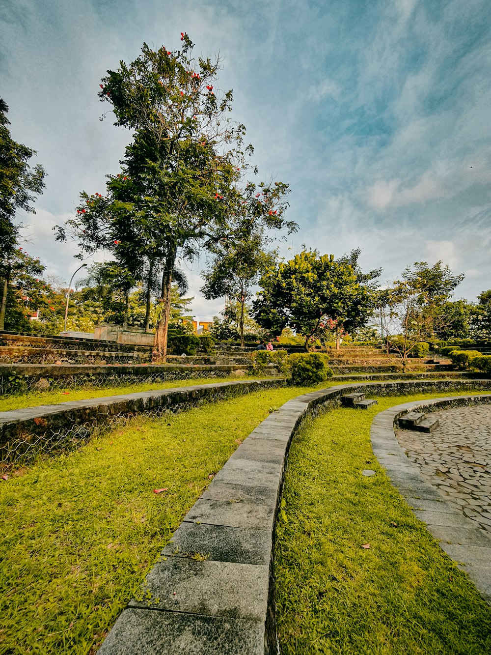 a path with grass and trees on the side