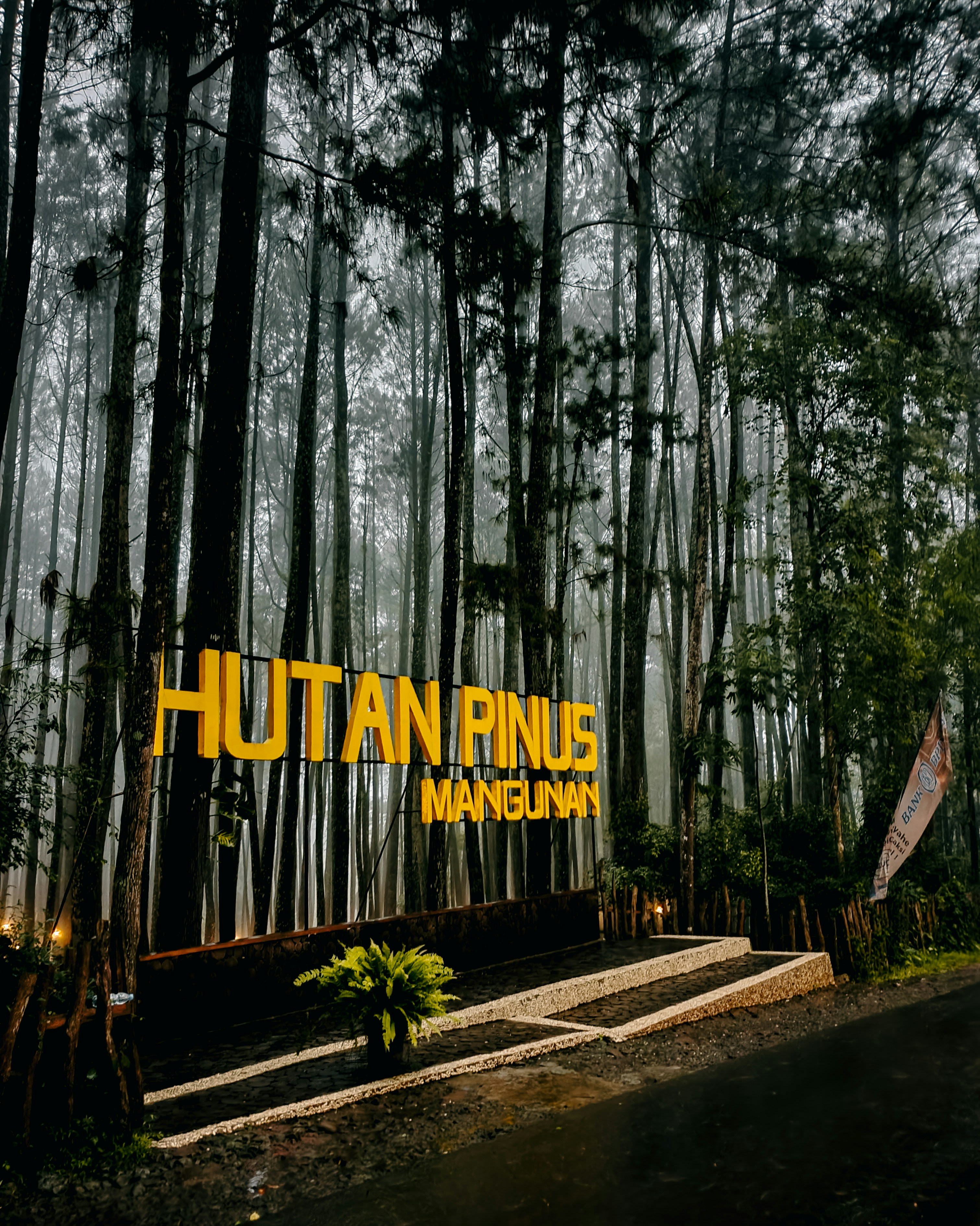 jalan setapak melalui hutan