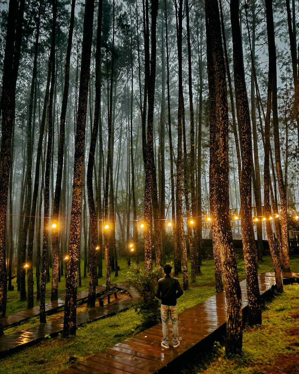 a person standing on a path lined with trees with lights