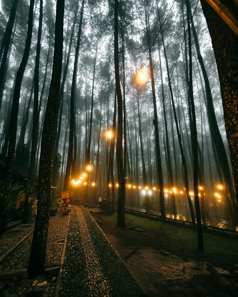 a fire hydrant on the side of a road with trees on either side of it