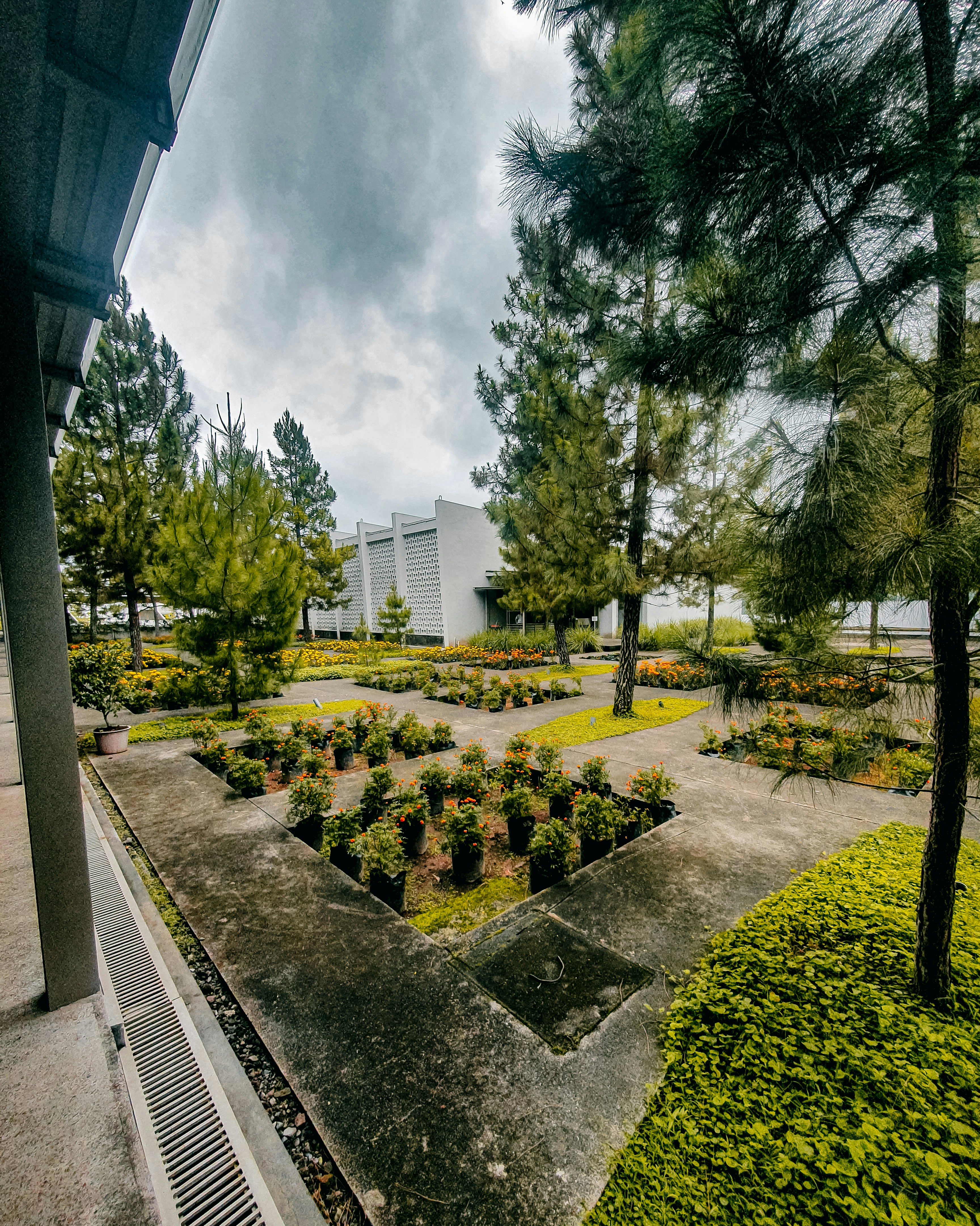 Baháʼí Gardens in Acre - Acre