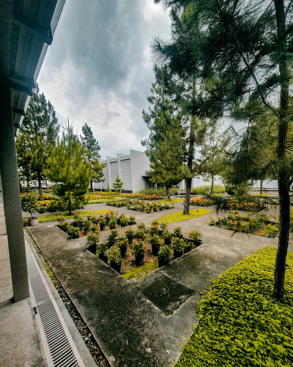 a garden with trees and buildings