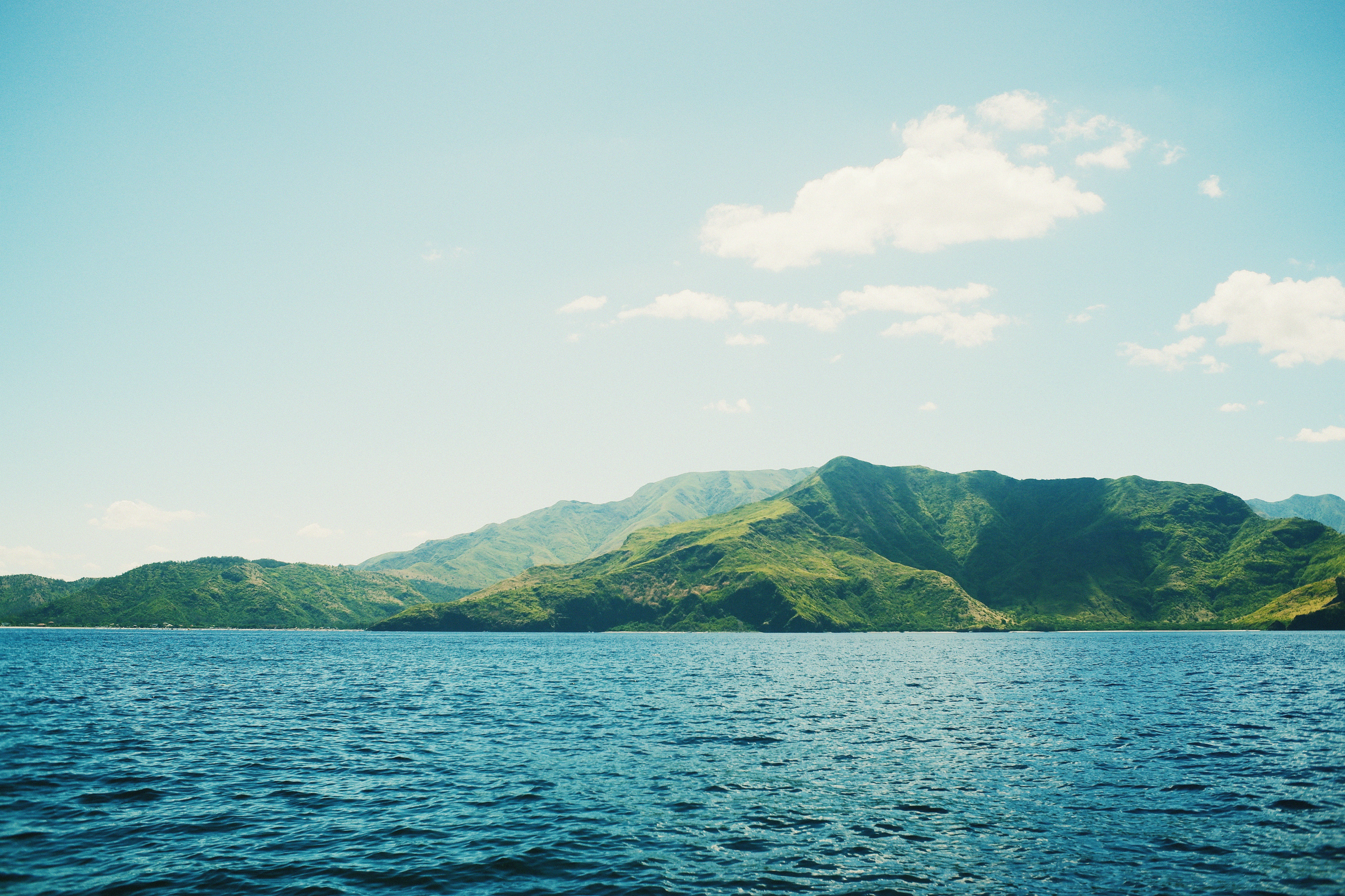 Photo by potfriend303