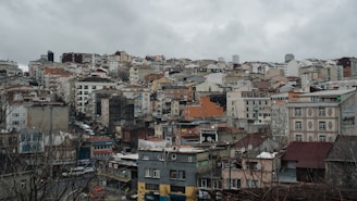 a city with many buildings