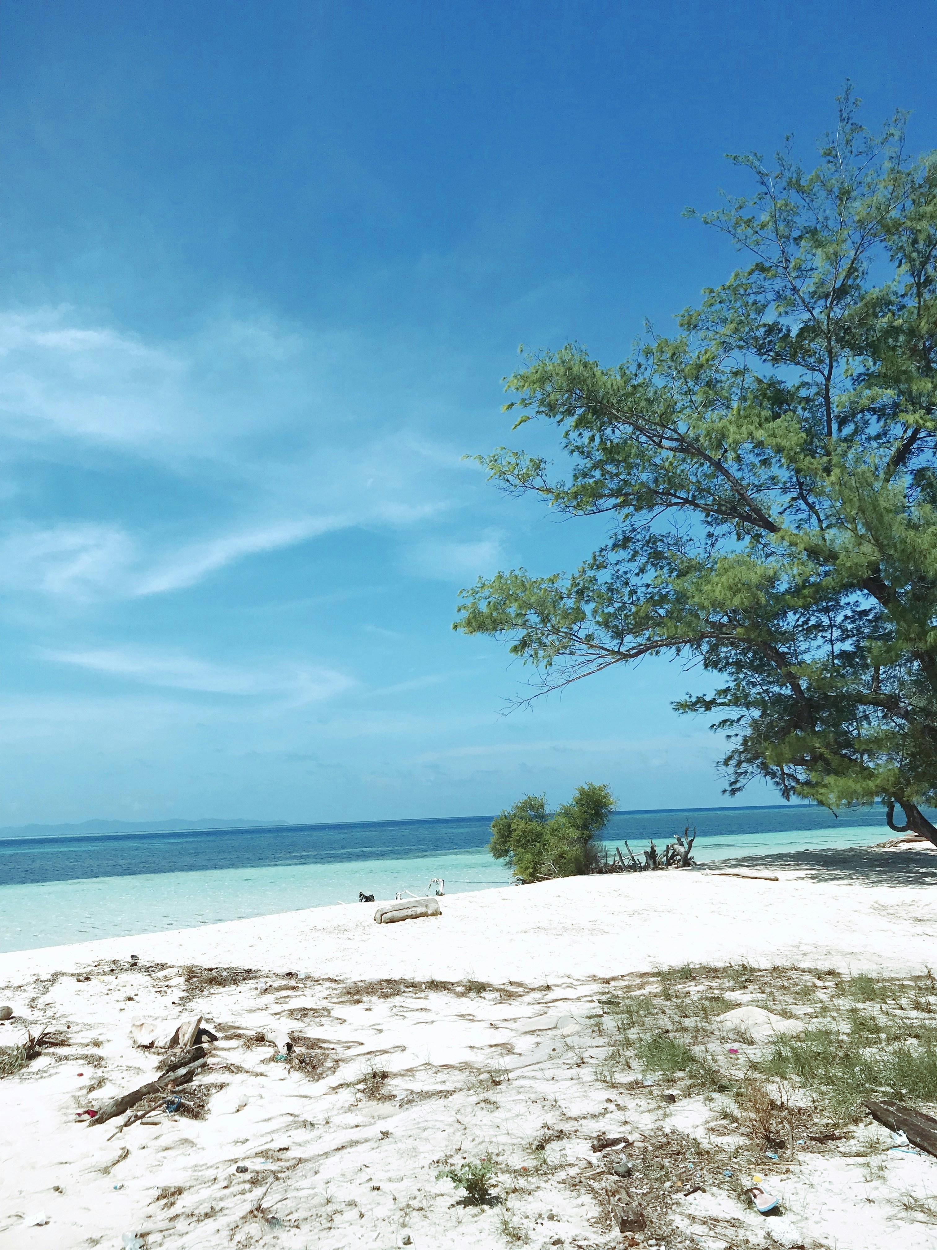 Photo by gunawanandre