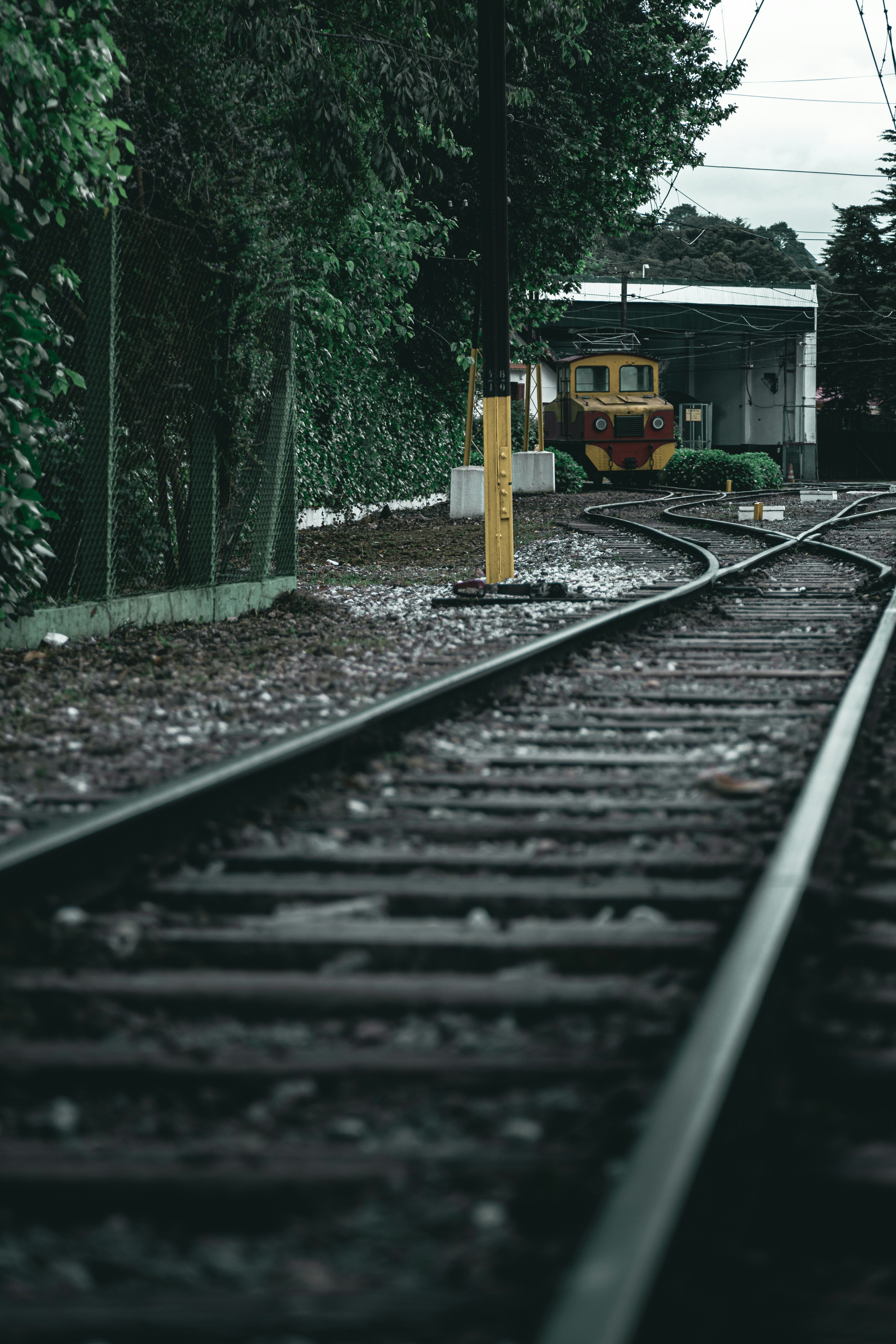 Photo by gabrieluizramos