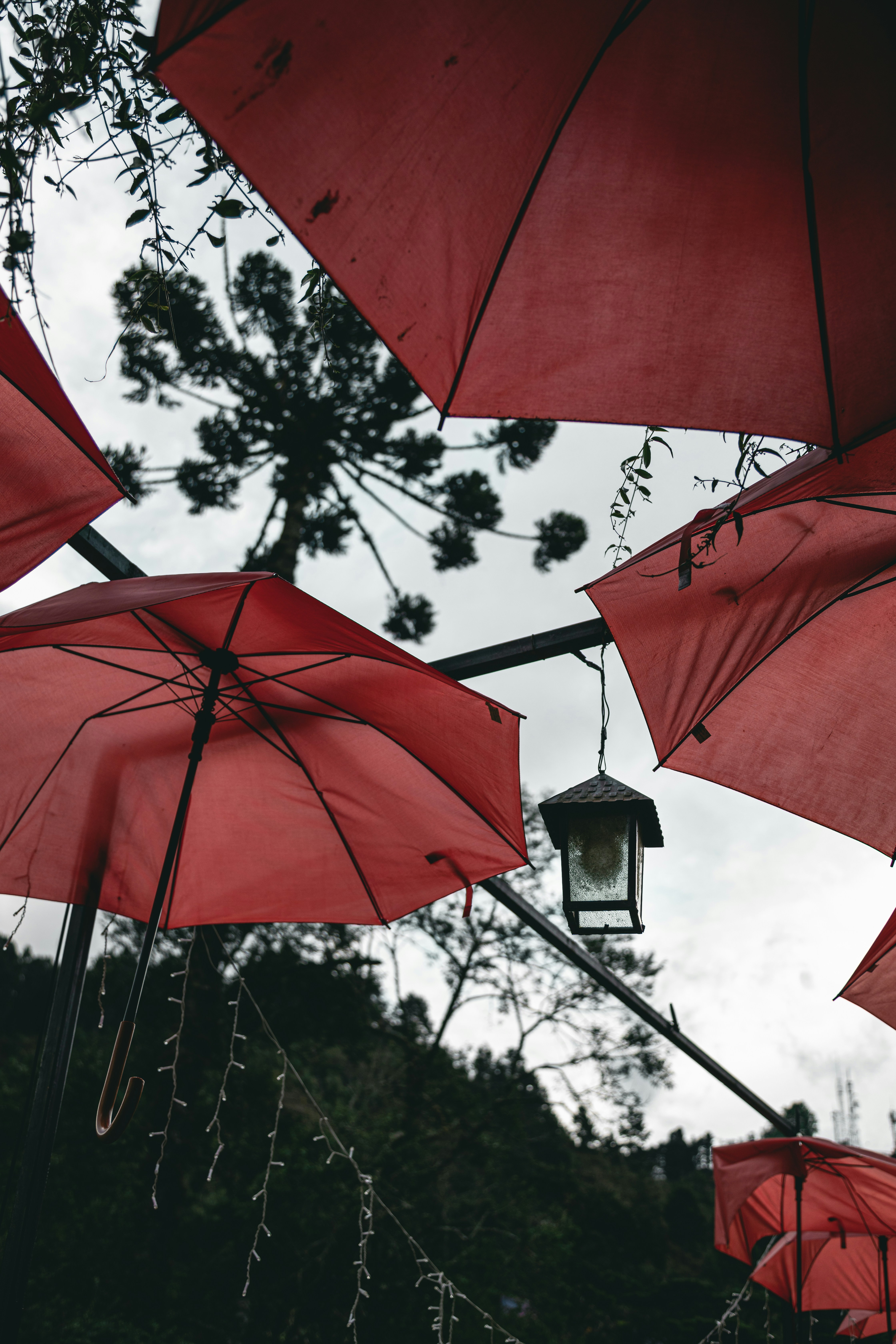 Photo by gabrieluizramos