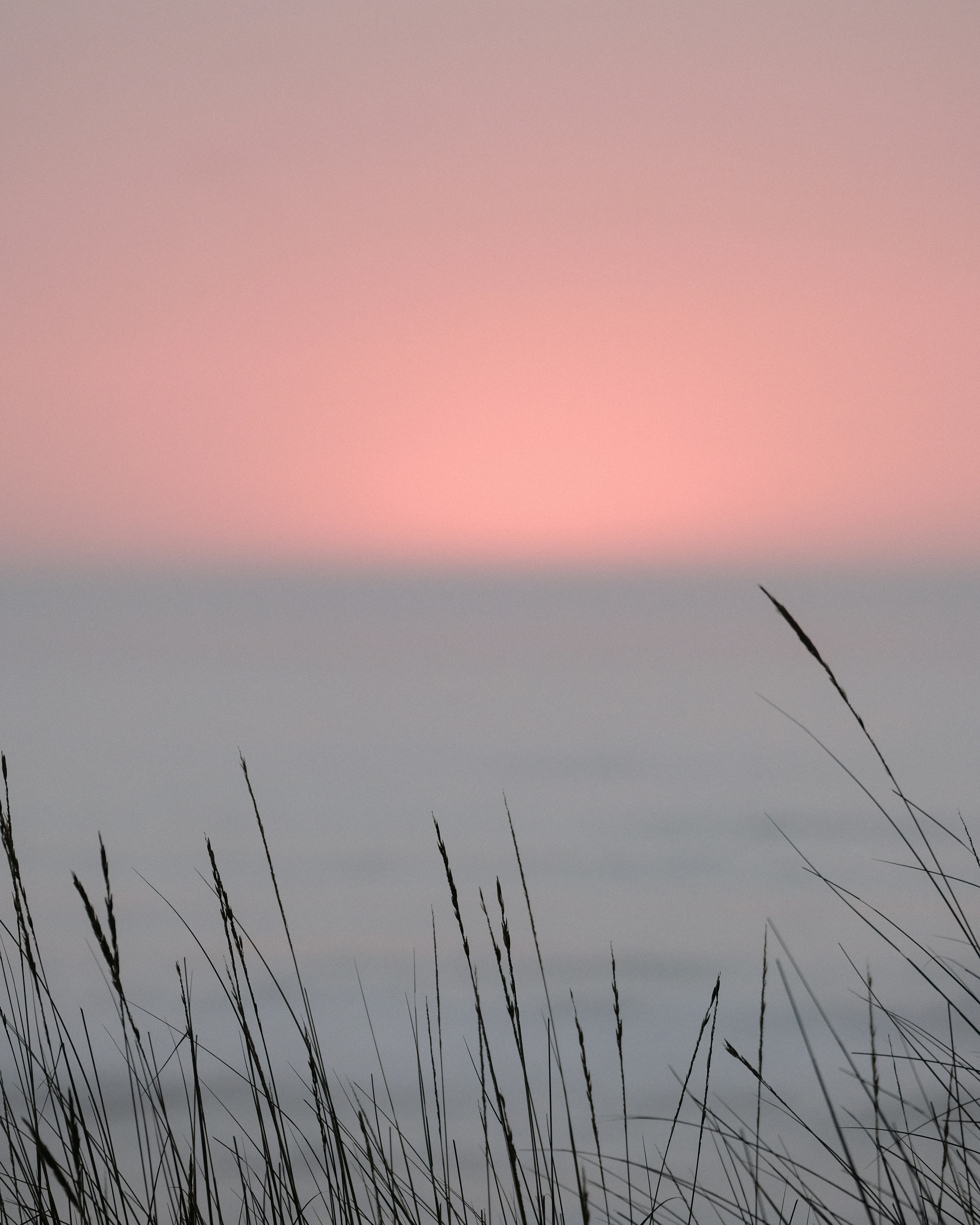 Photo by kingsandsailors