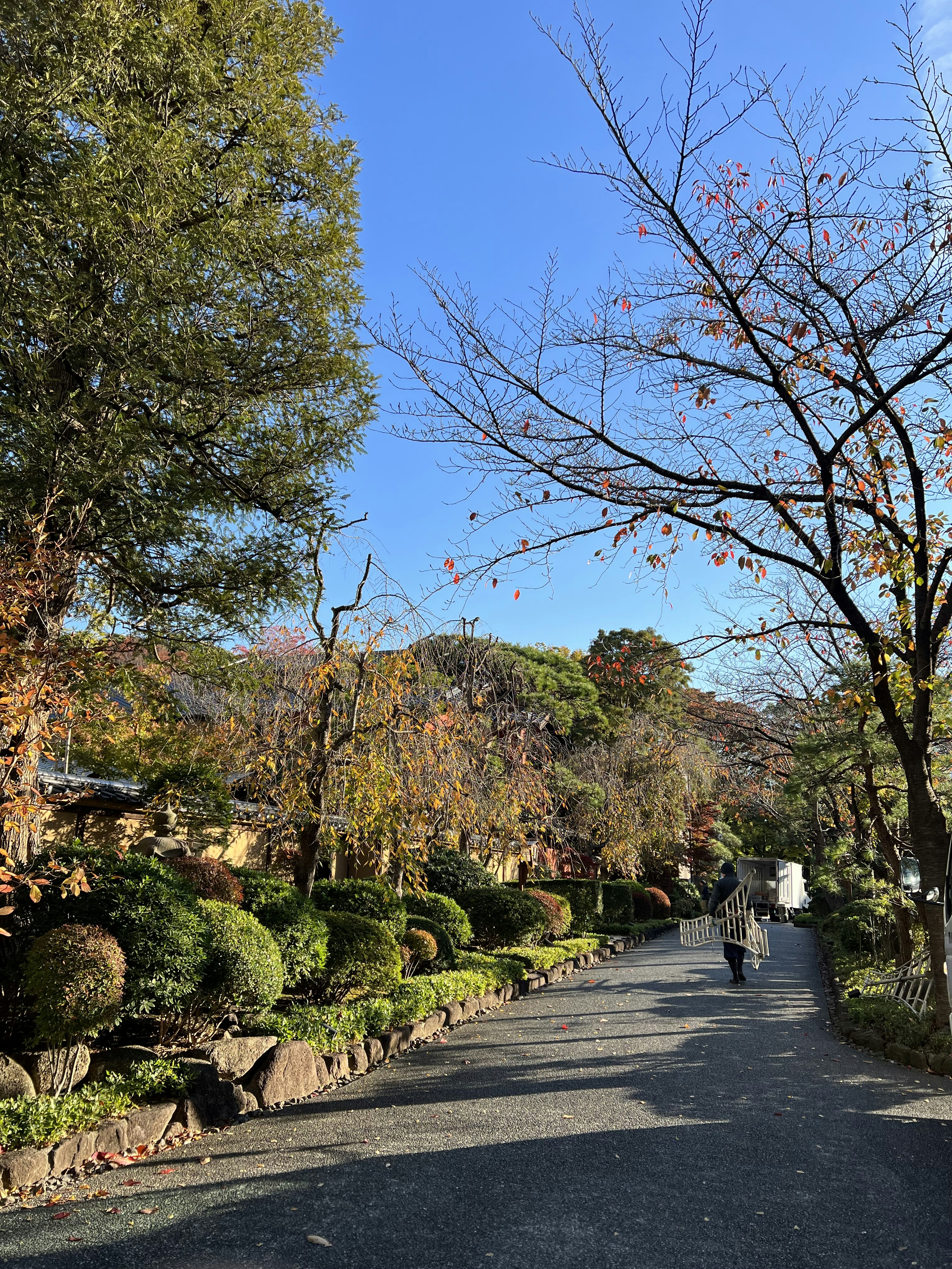 Photo by masakob
