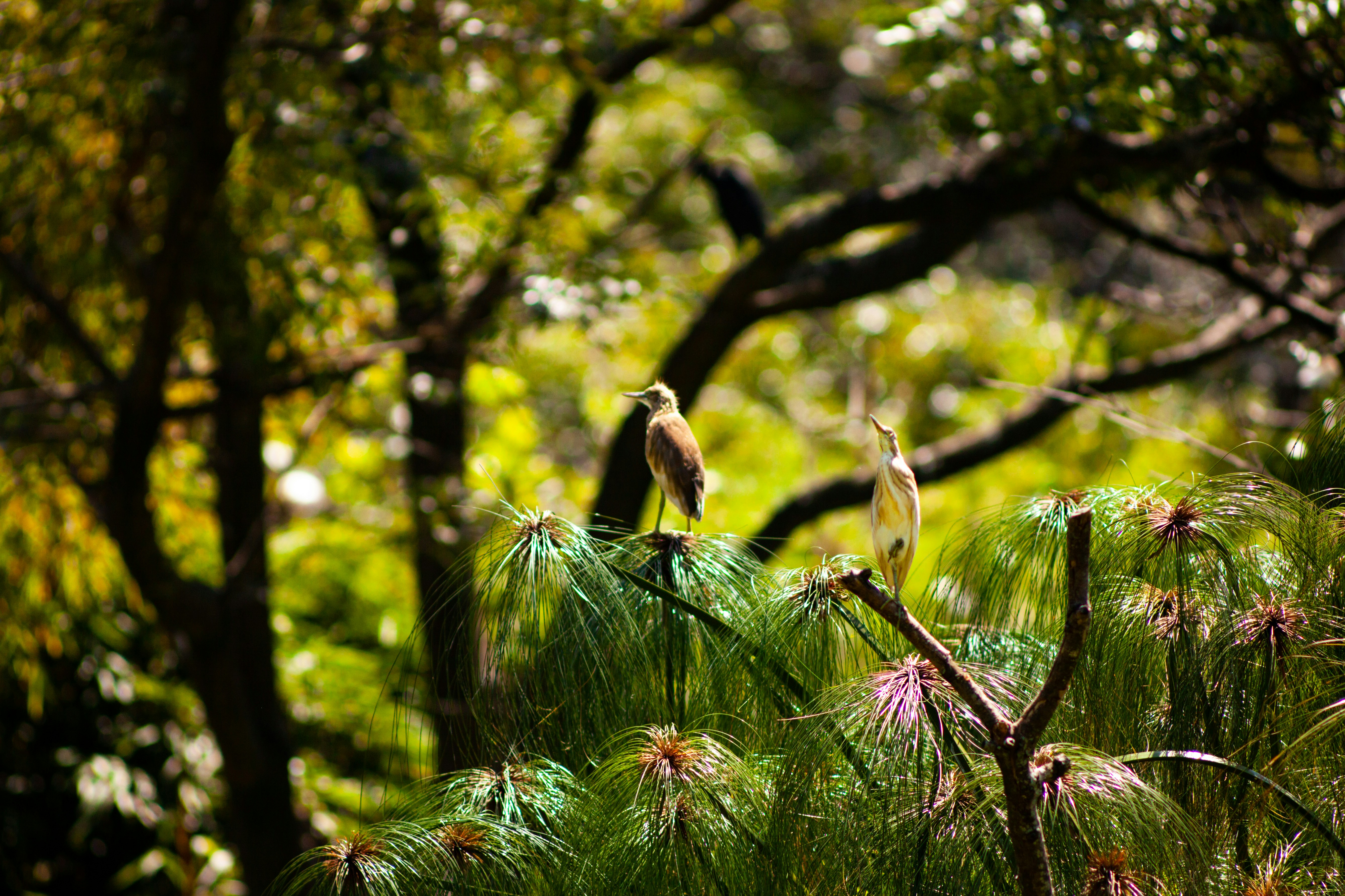 Photo by alekseyryan