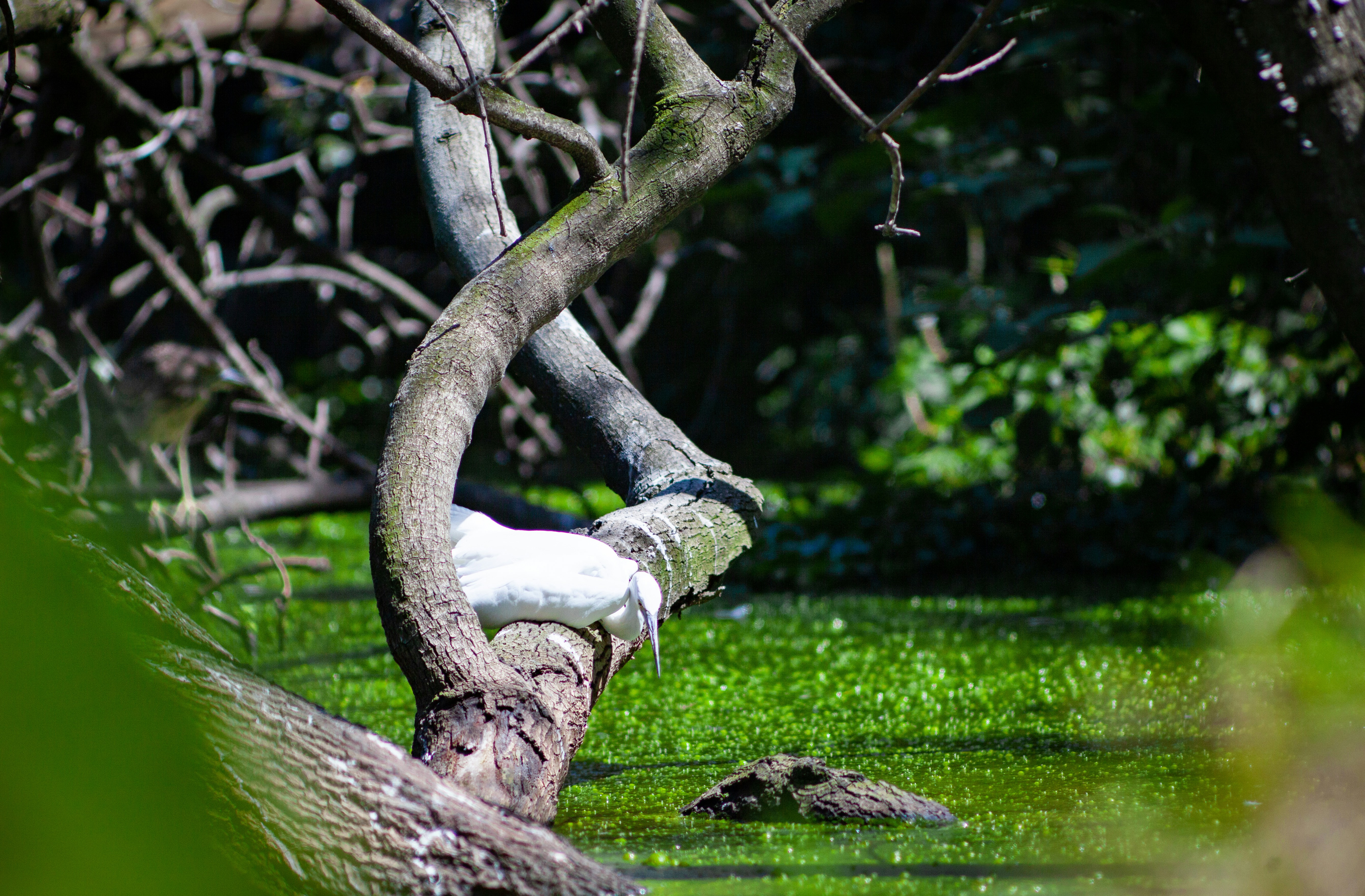 Photo by alekseyryan