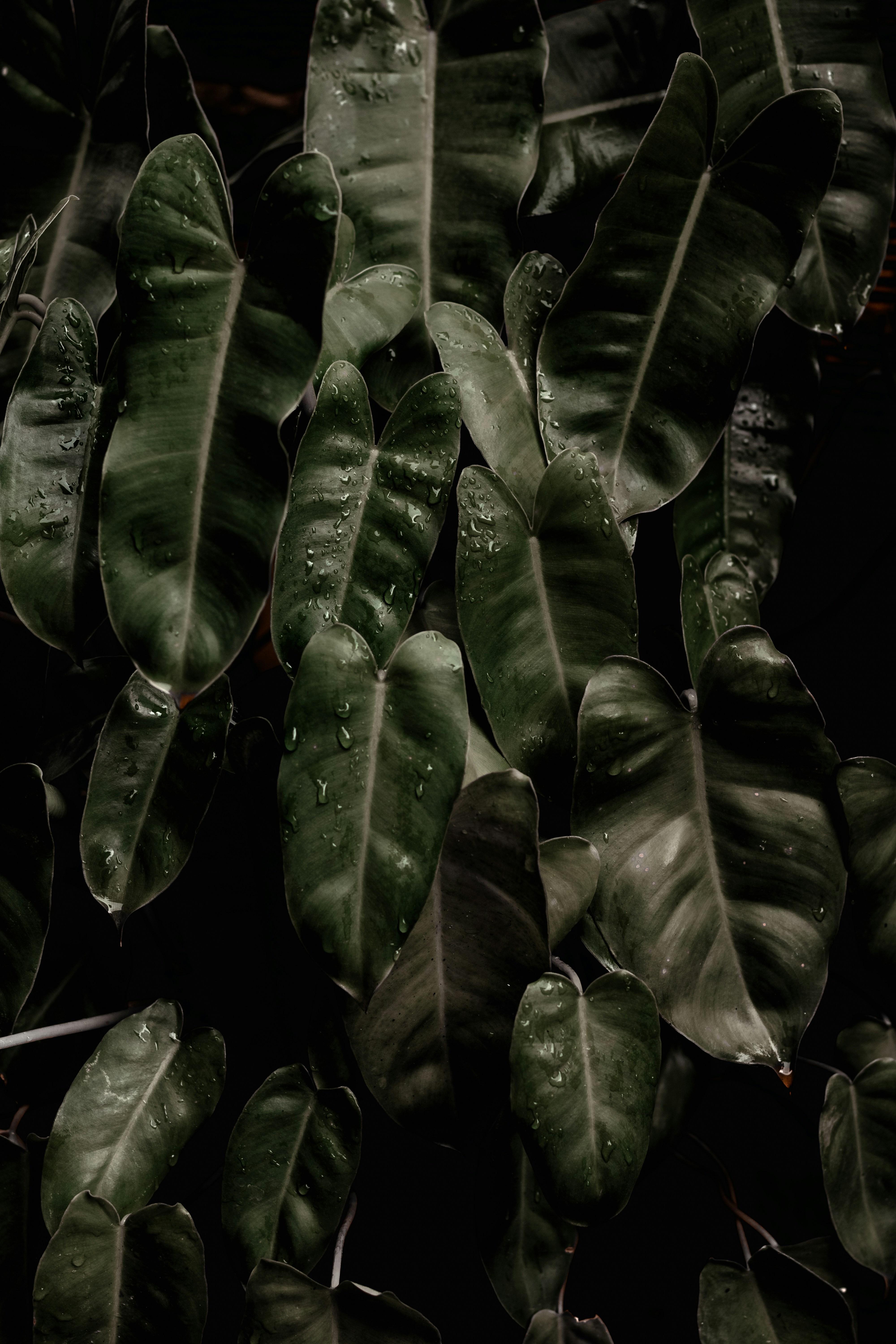 Photo by kawerodriguess