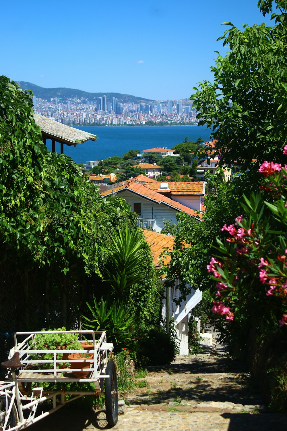 a bench sits in front of a house