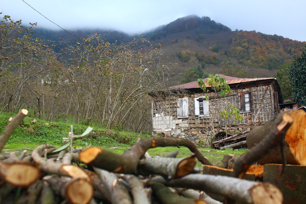 a house in the woods