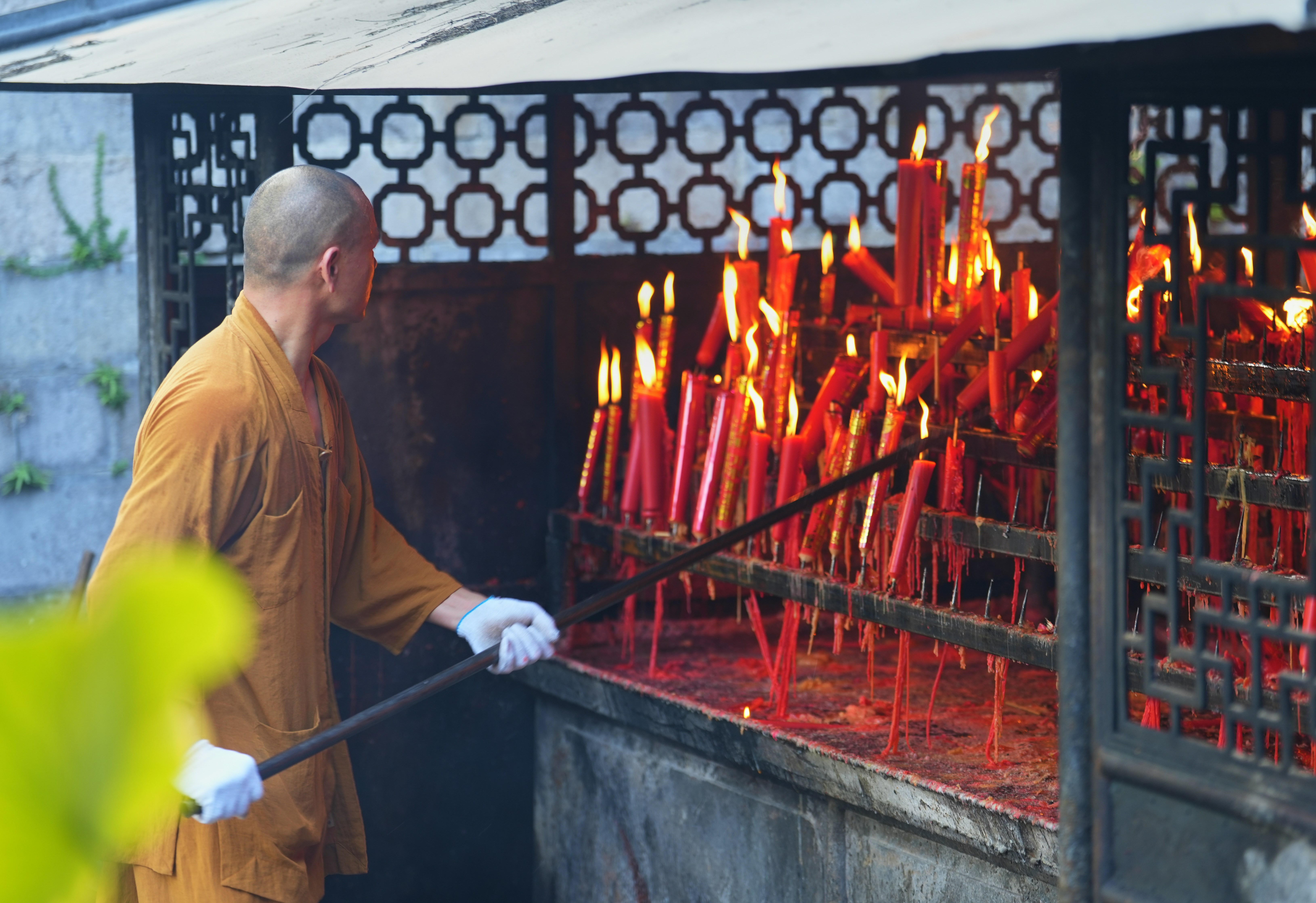 Image by Liao Junwei via Unsplash