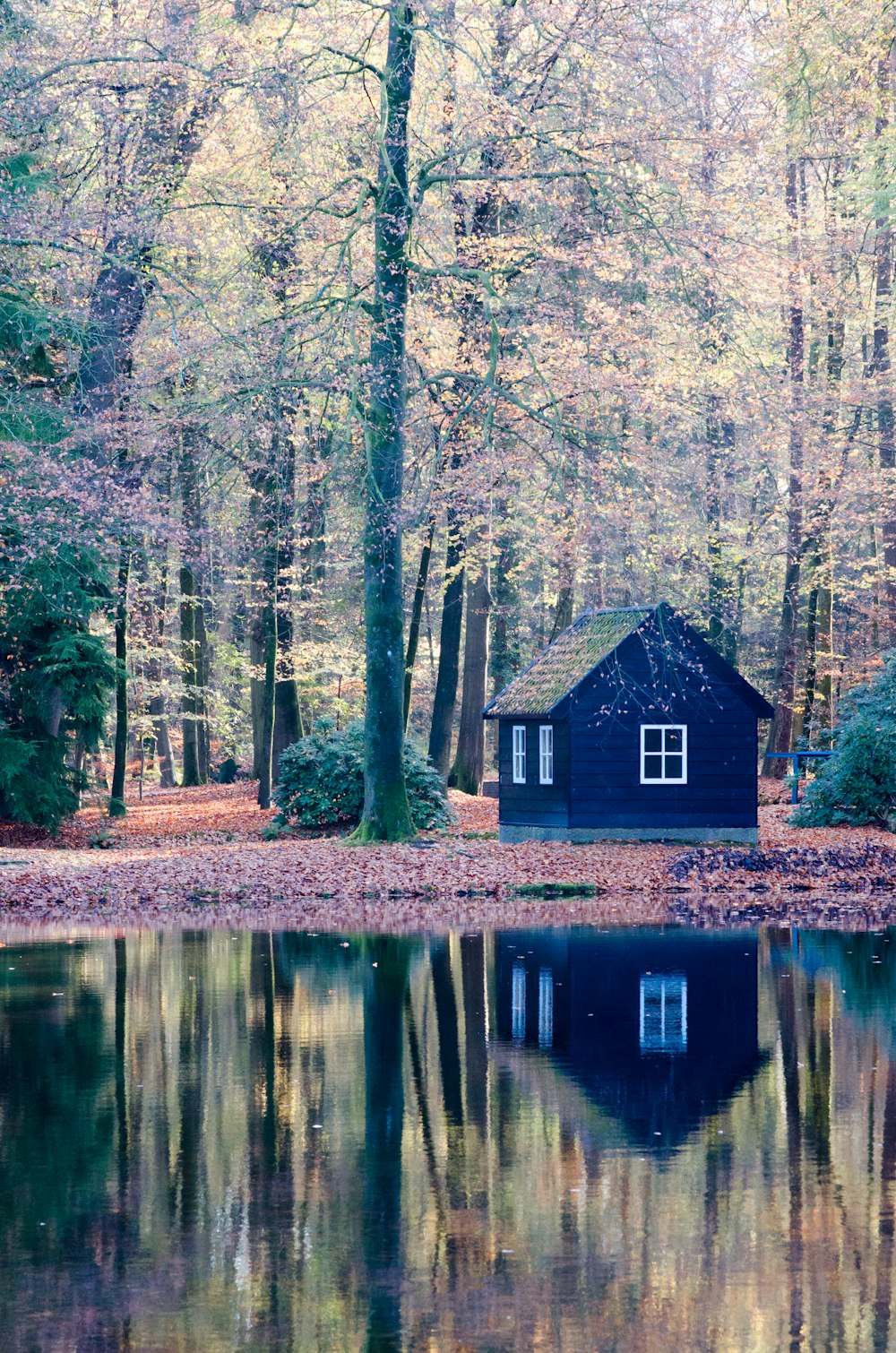 uma pequena casa à beira de um lago