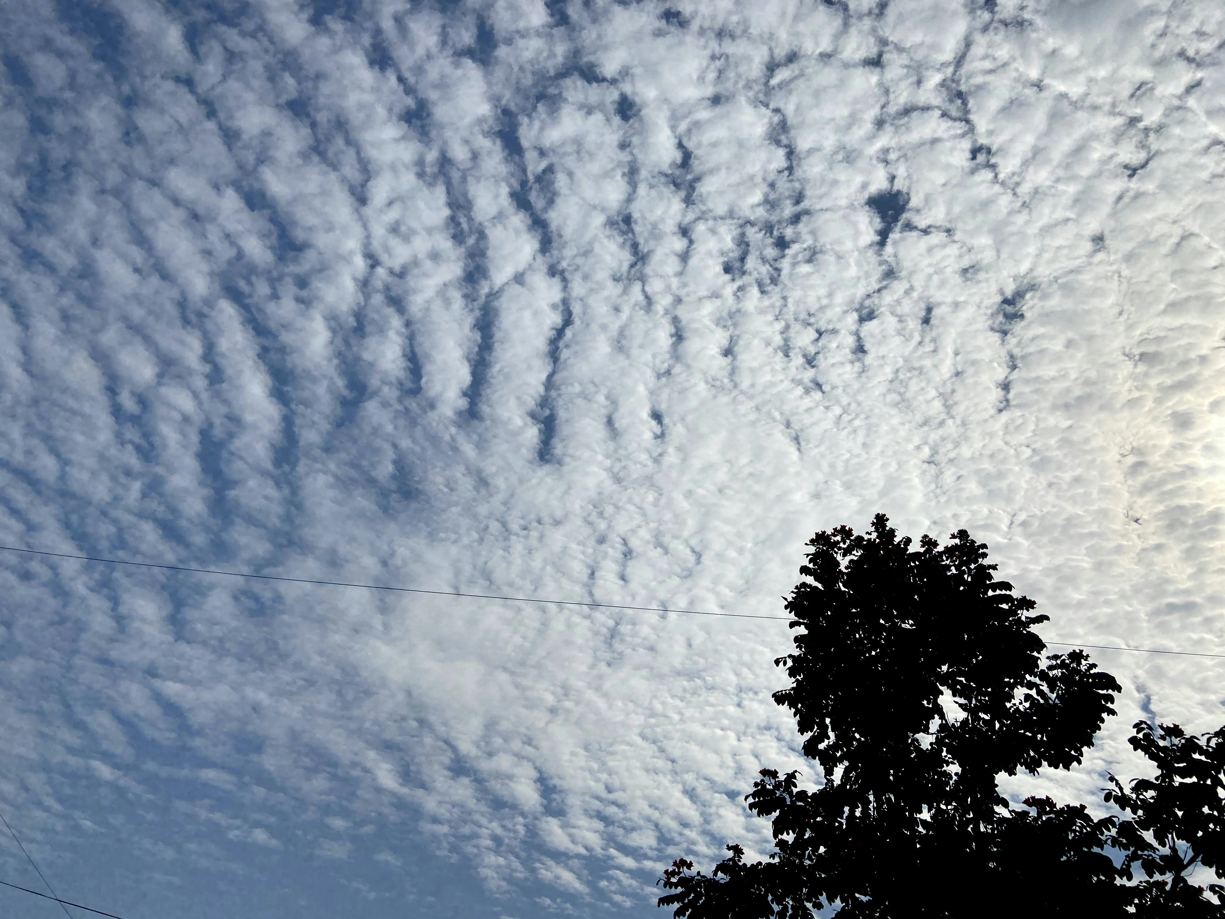 Photo by aayushisingh