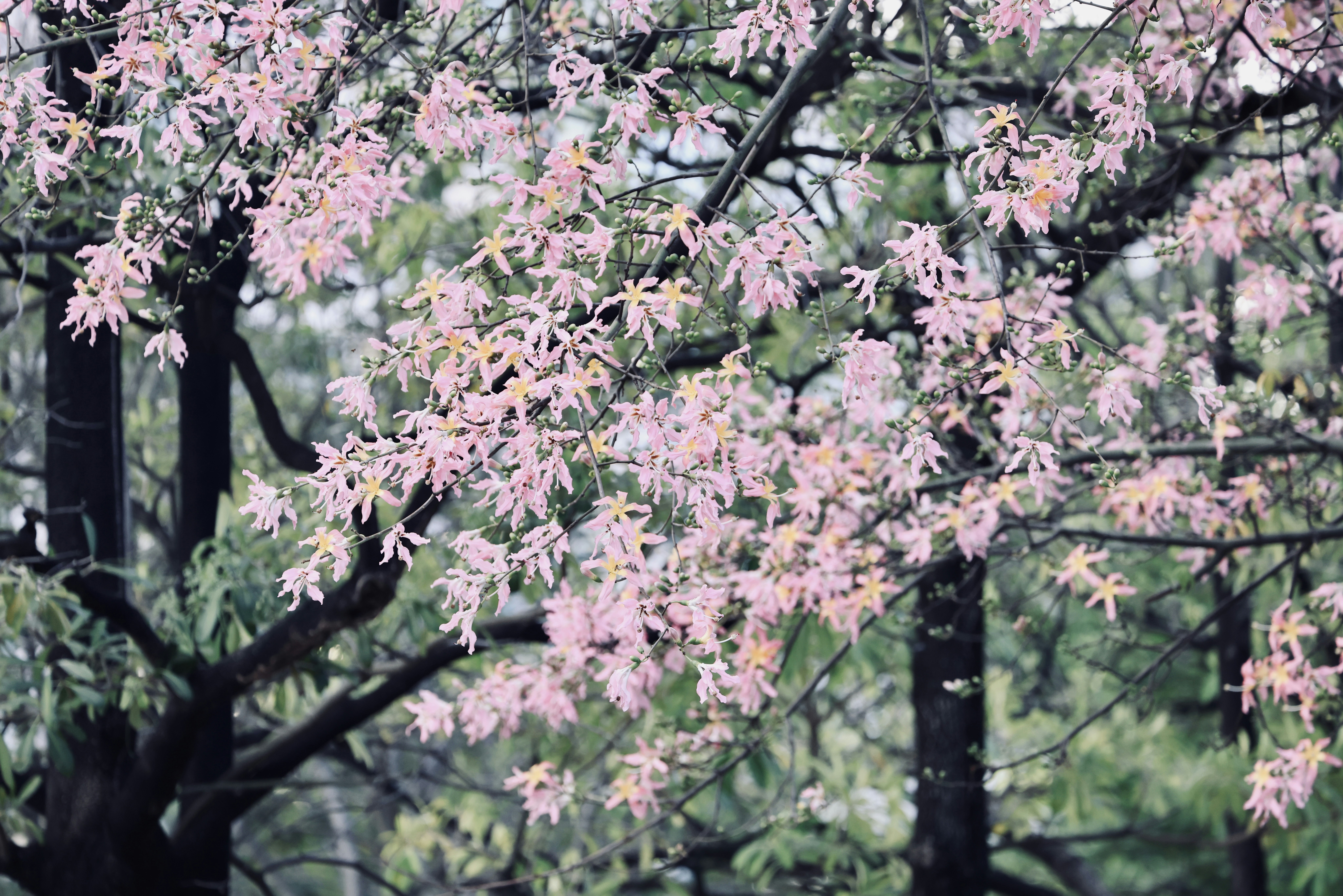 Photo by dickenslin76