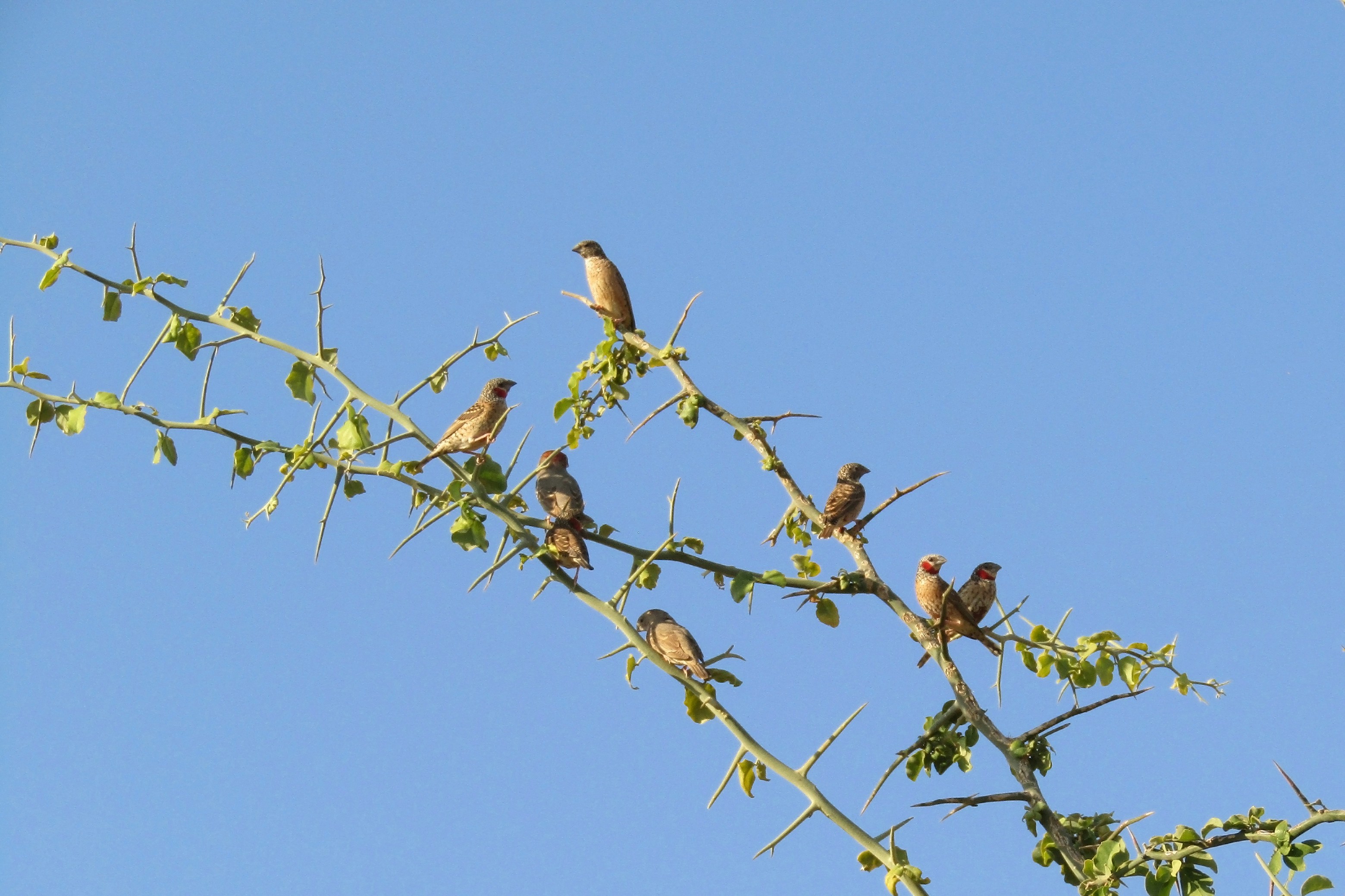 Photo by mphohlakudi