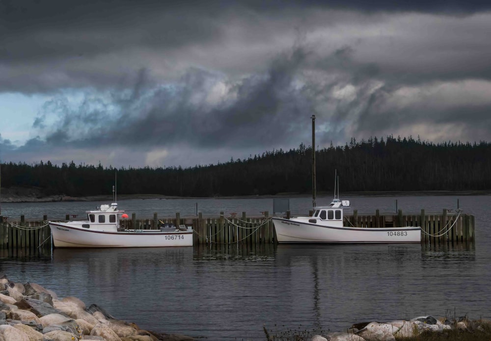 boats in the water