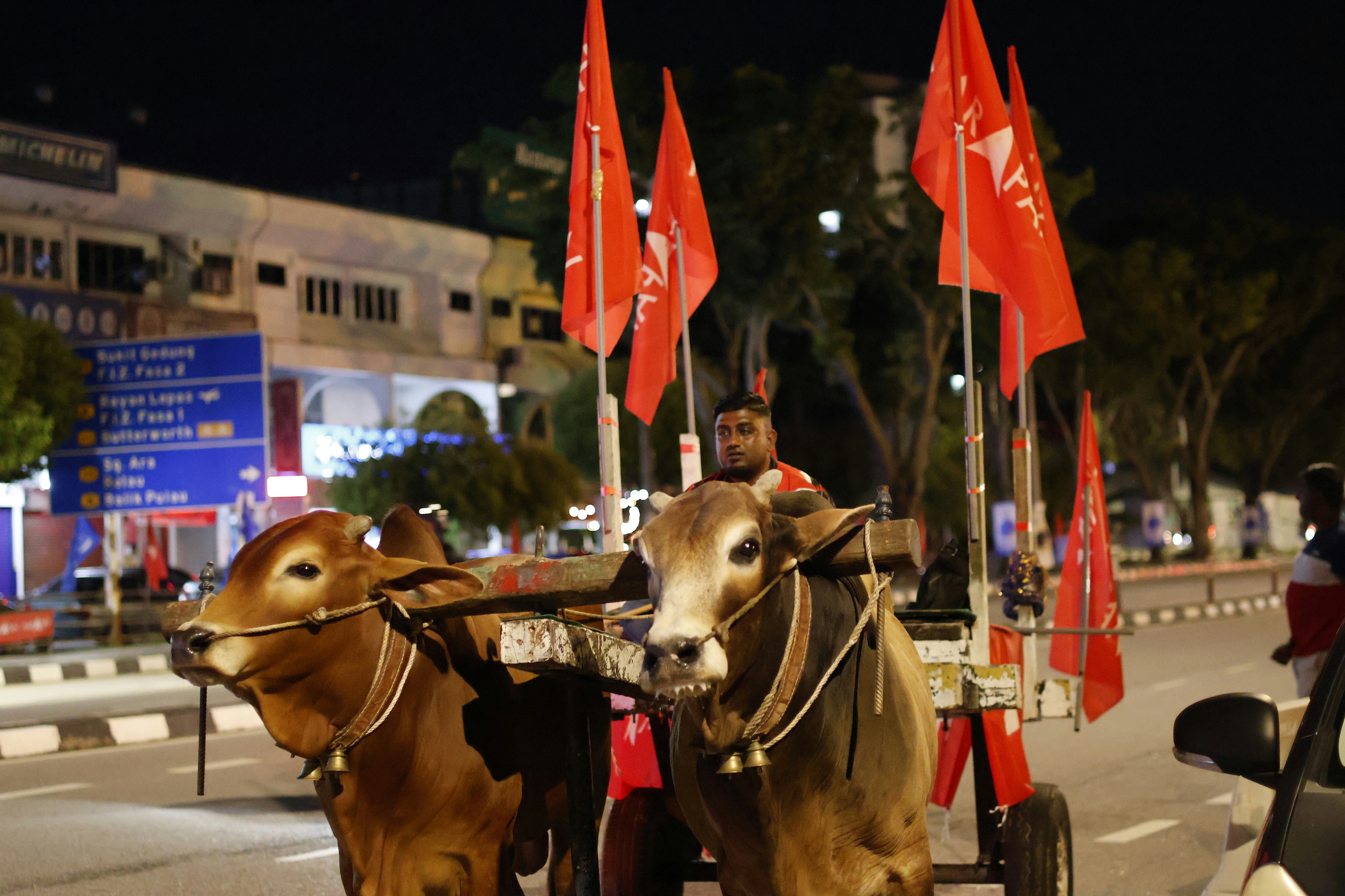 a couple of horses pulling a carriage with flags
