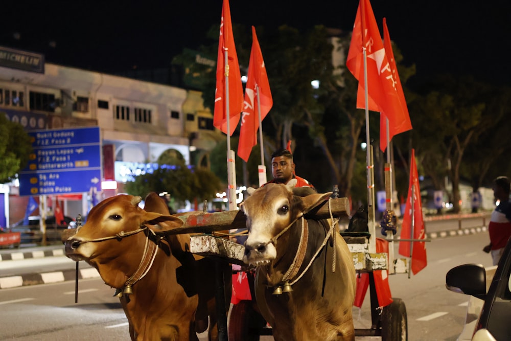 a couple of horses pulling a carriage with flags