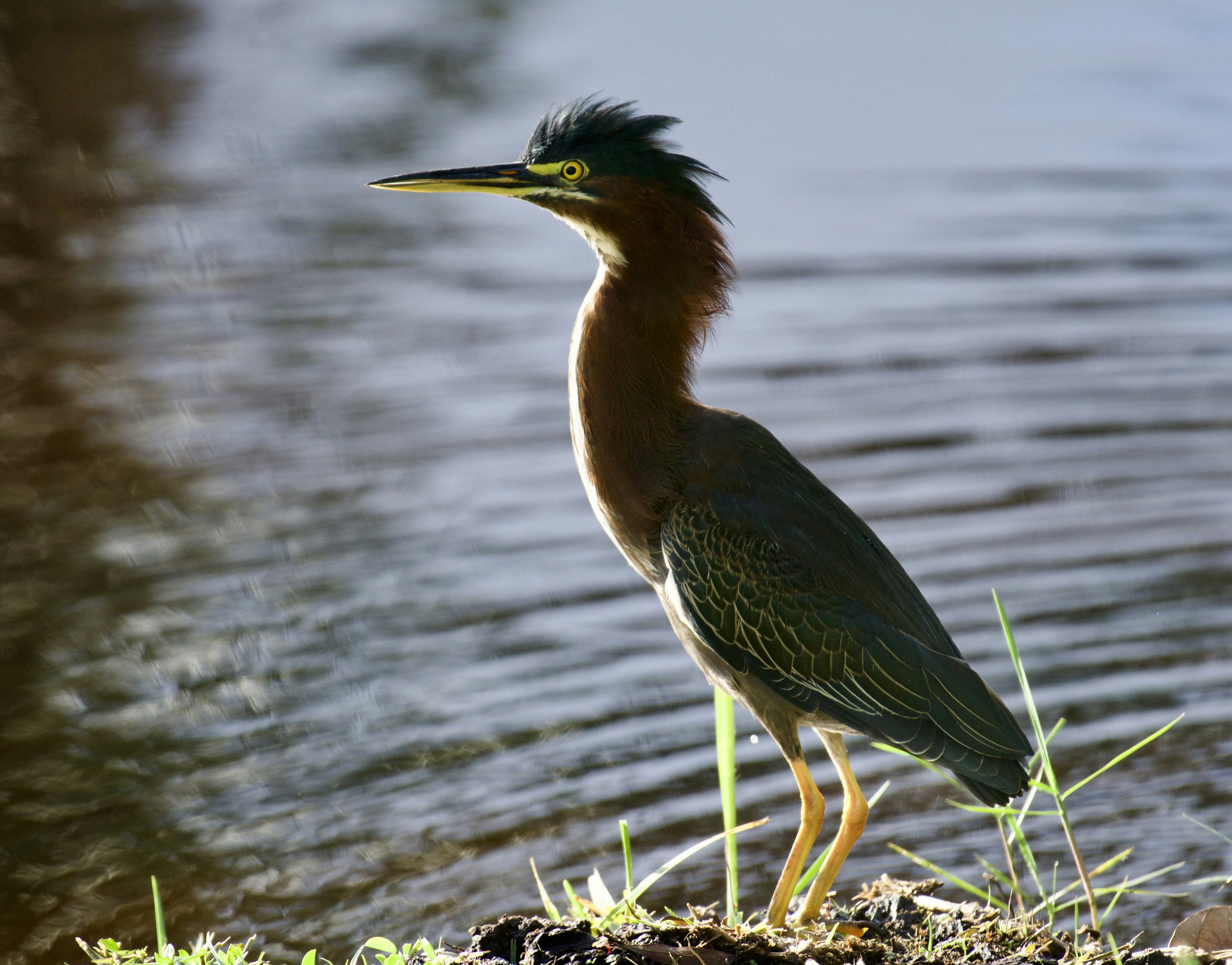 Photo by juliana_chapman