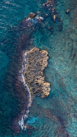 a body of water with rocks and plants around it
