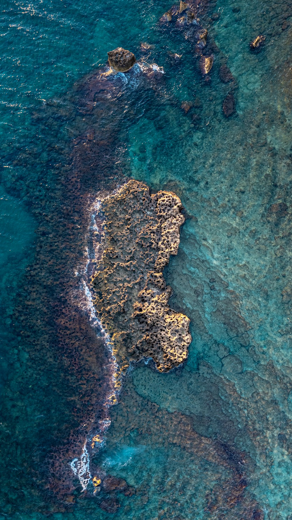 a body of water with rocks and plants around it