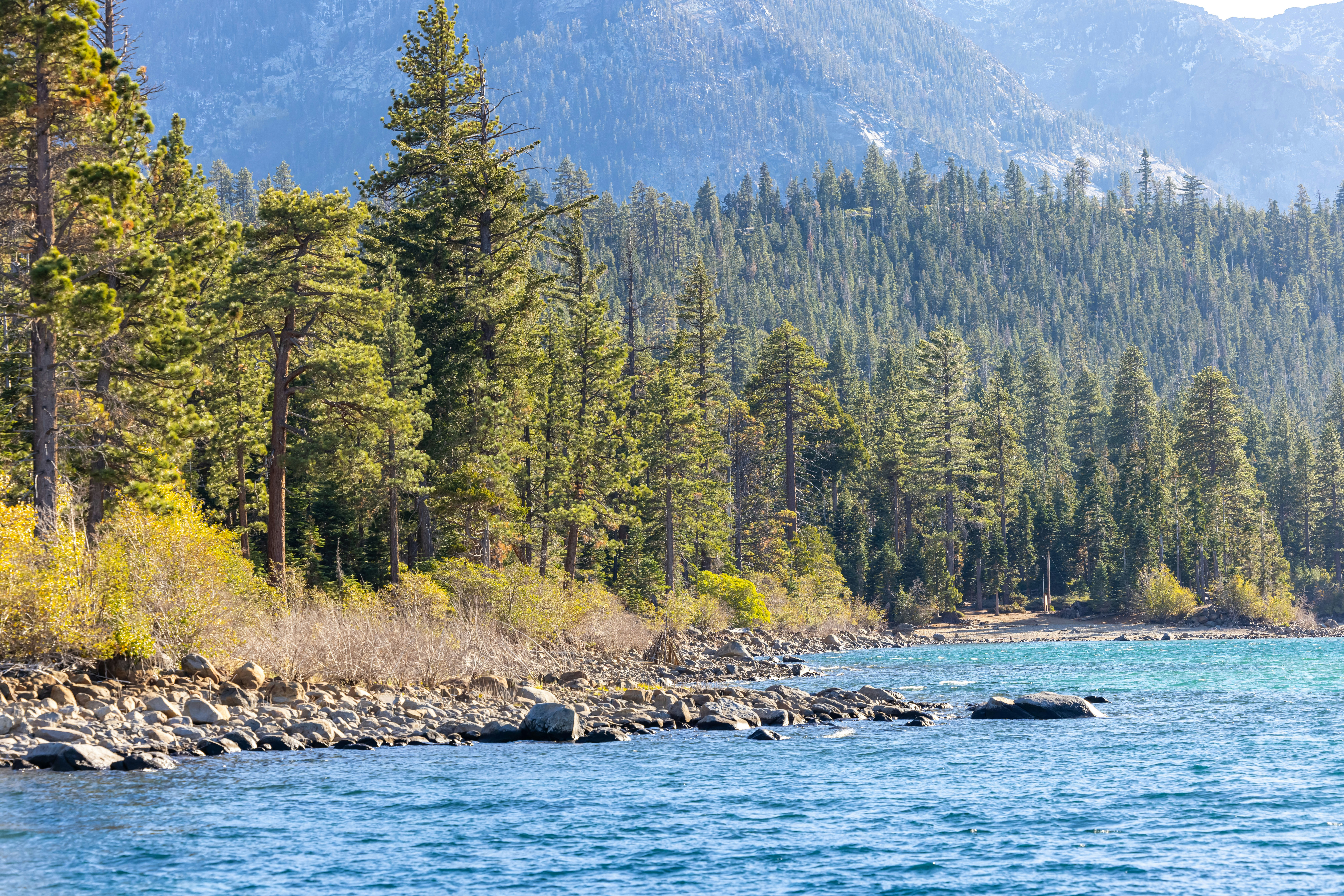 Photo by leo_visions_