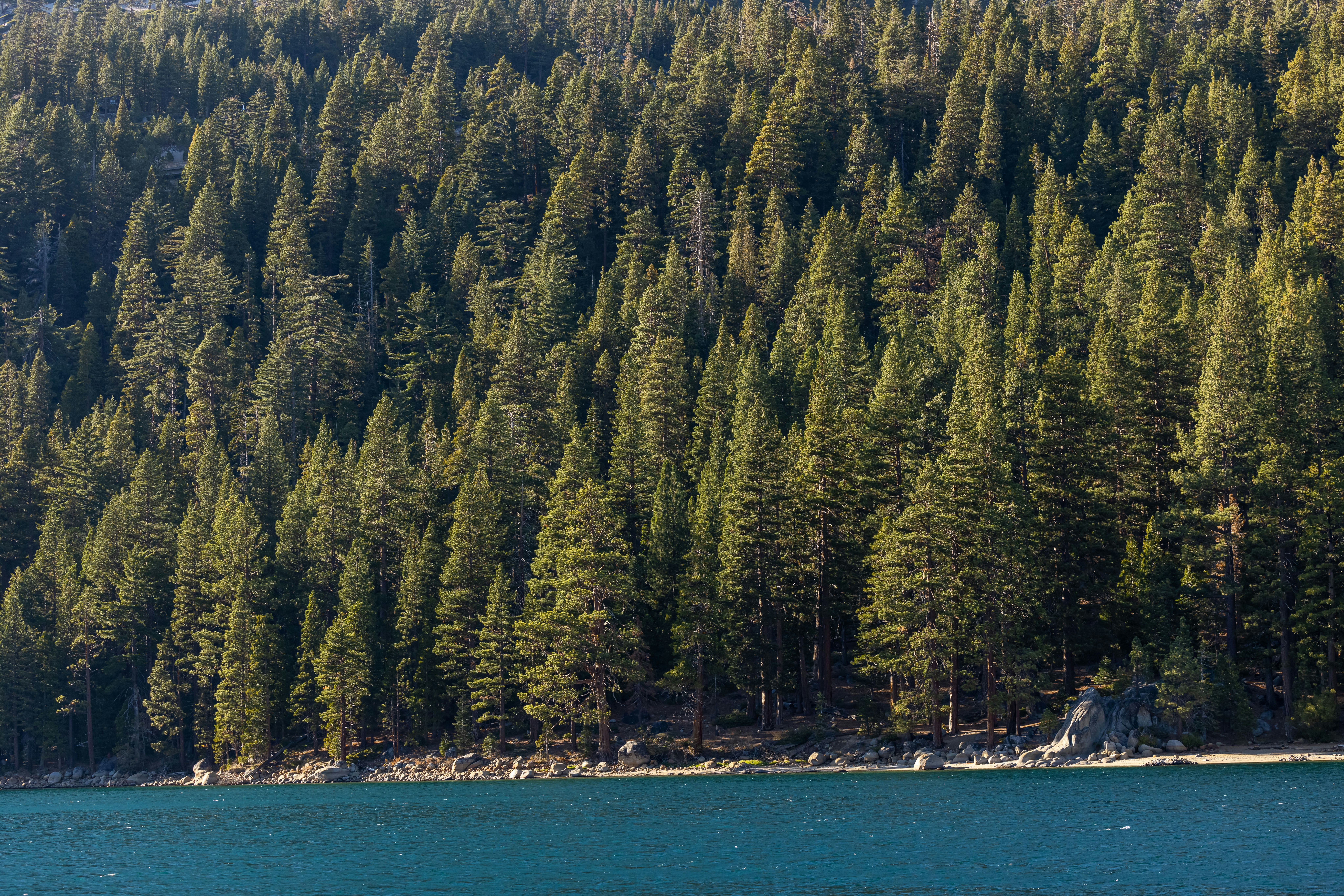 Photo by leo_visions_