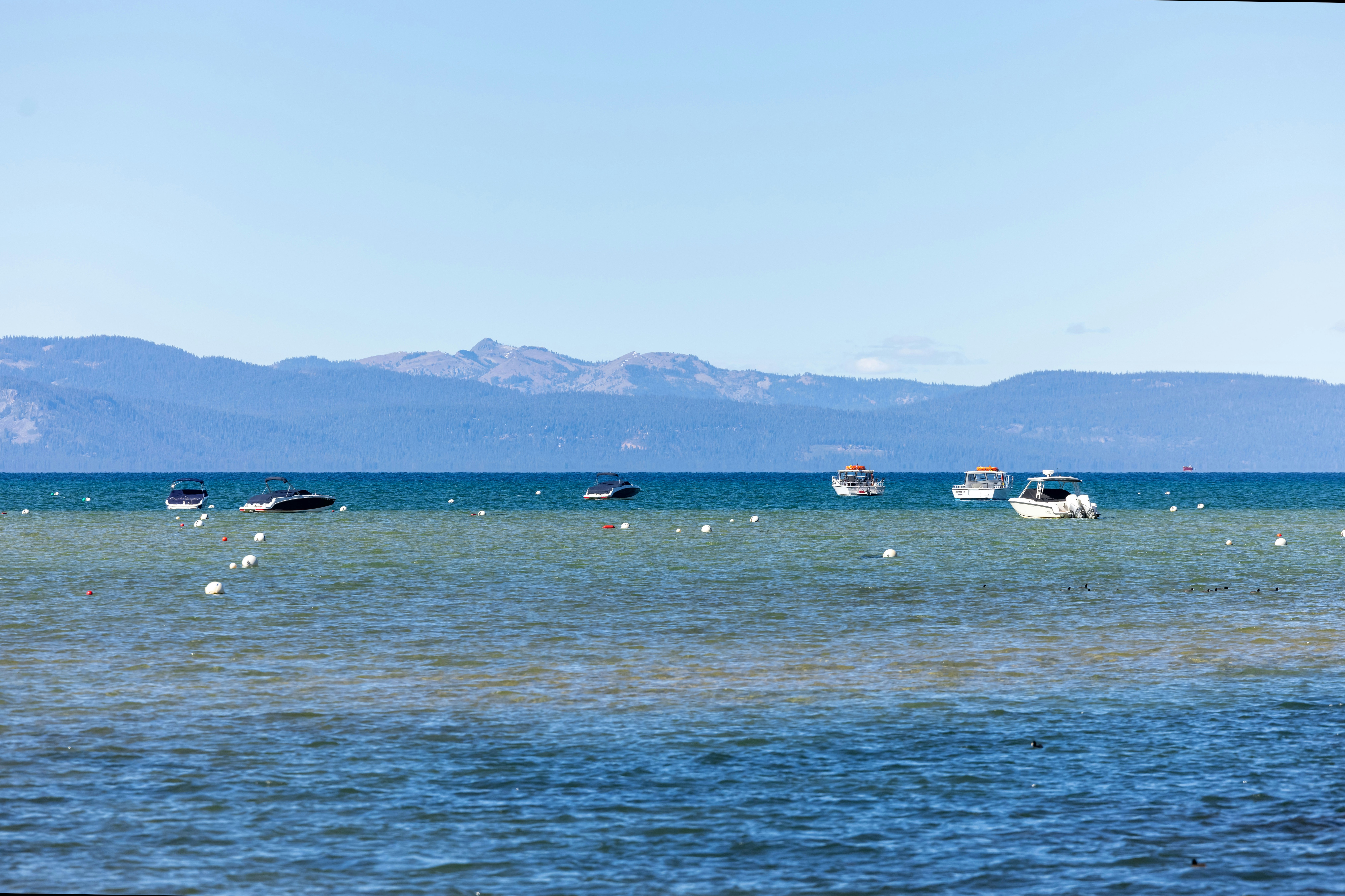 Photo by leo_visions_